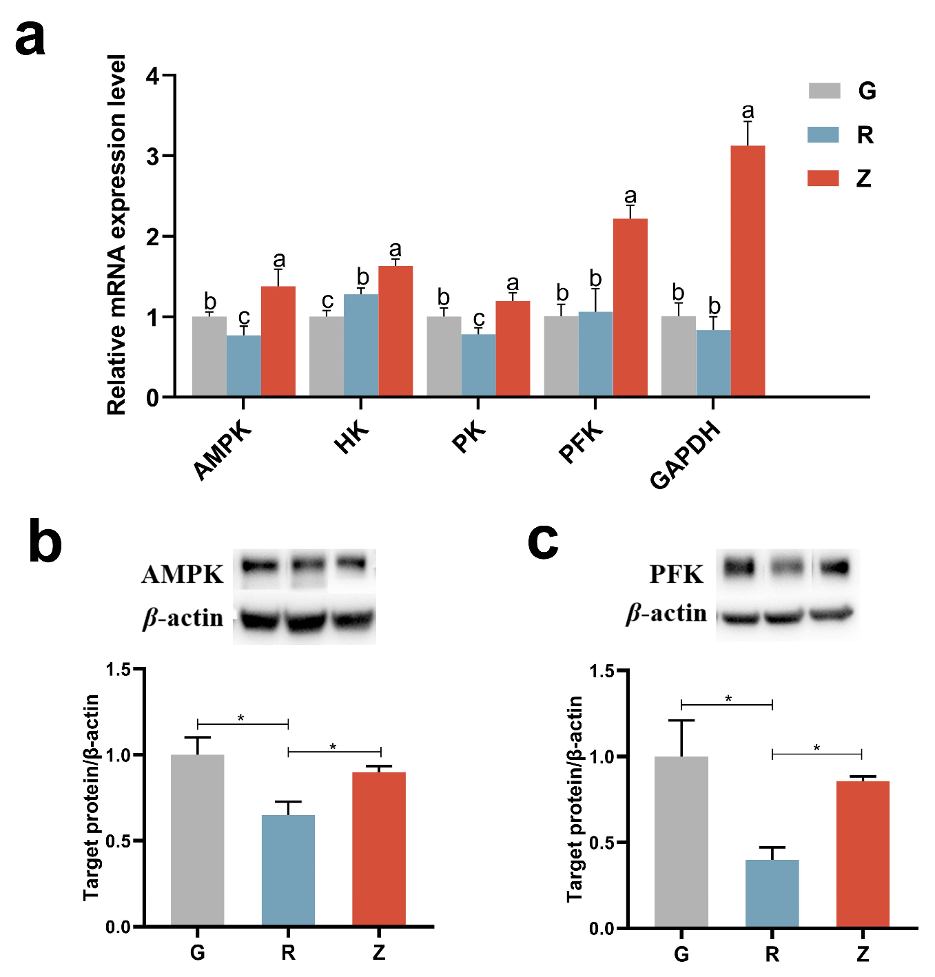 Nutrients 15 04888 g006