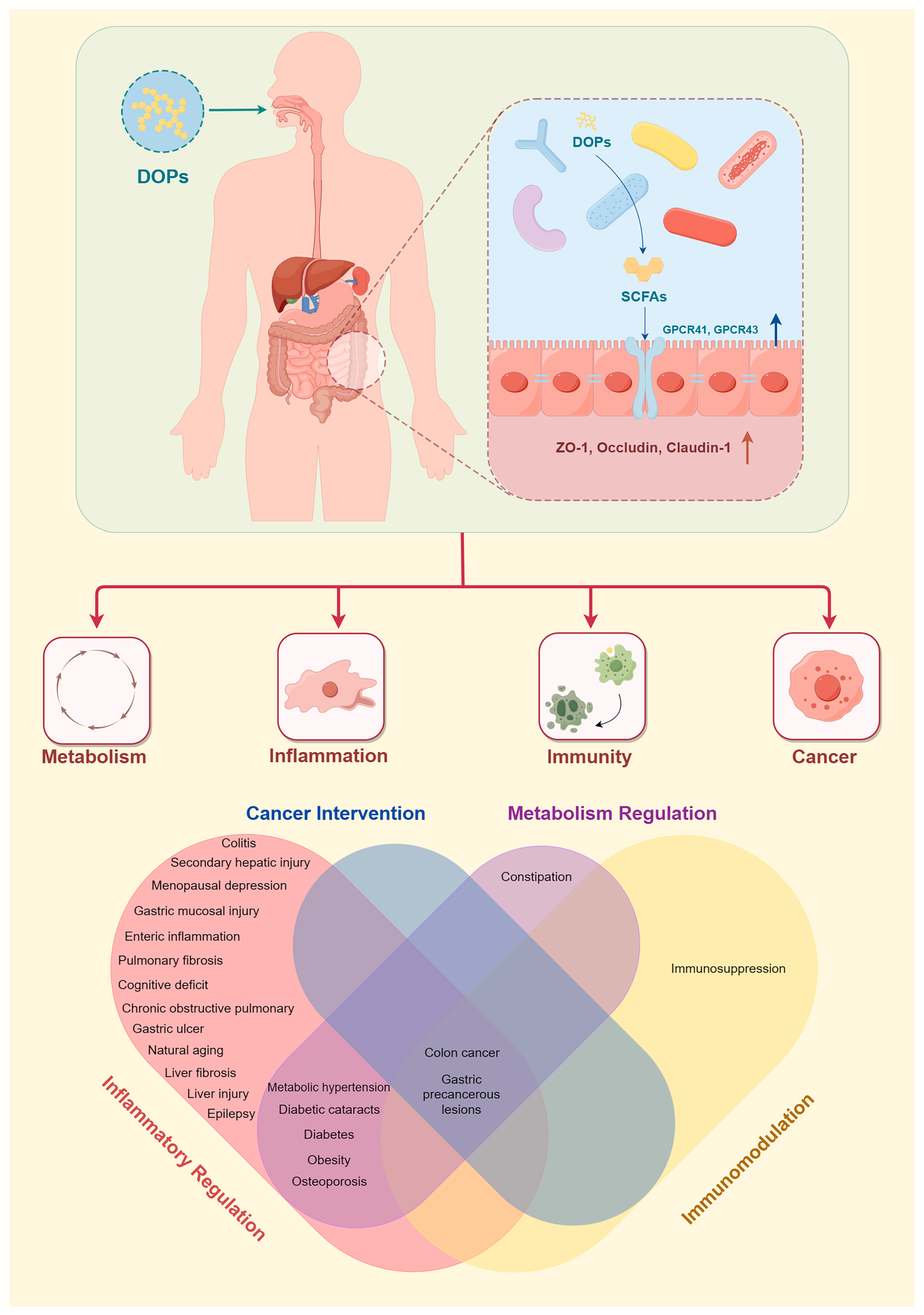 Nutrients 15 04901 g003