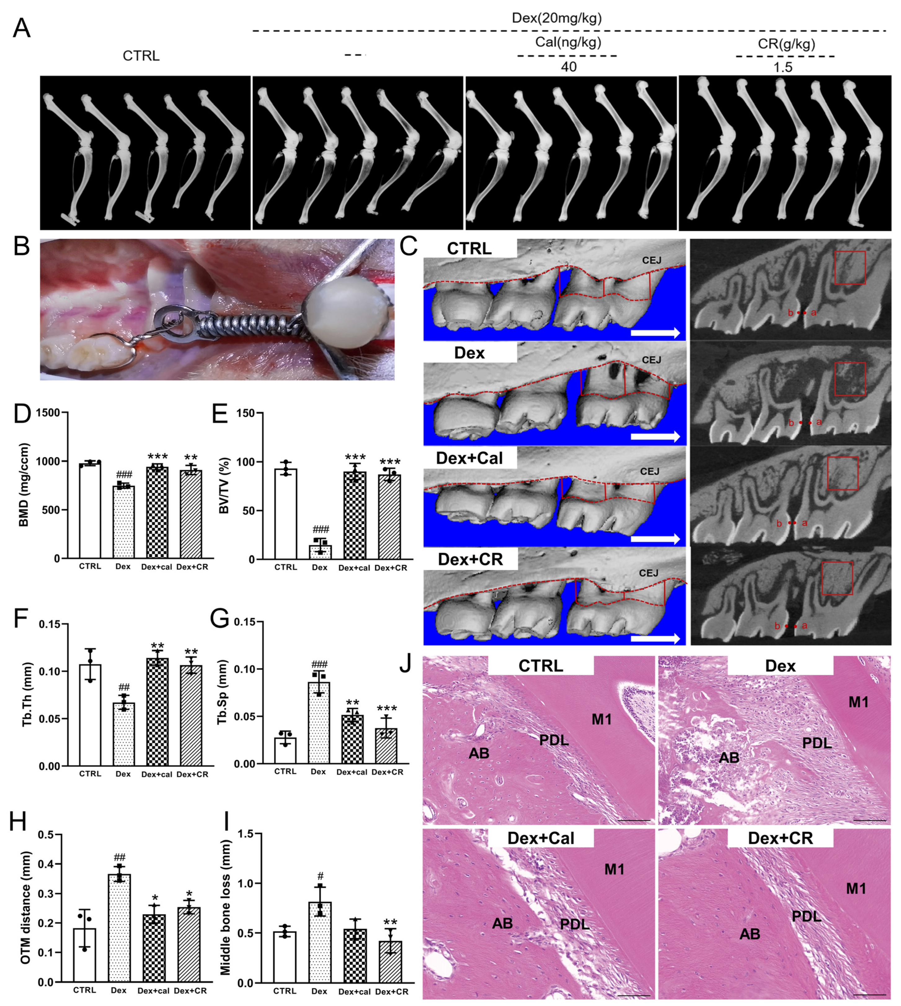 Nutrients 15 04906 g001