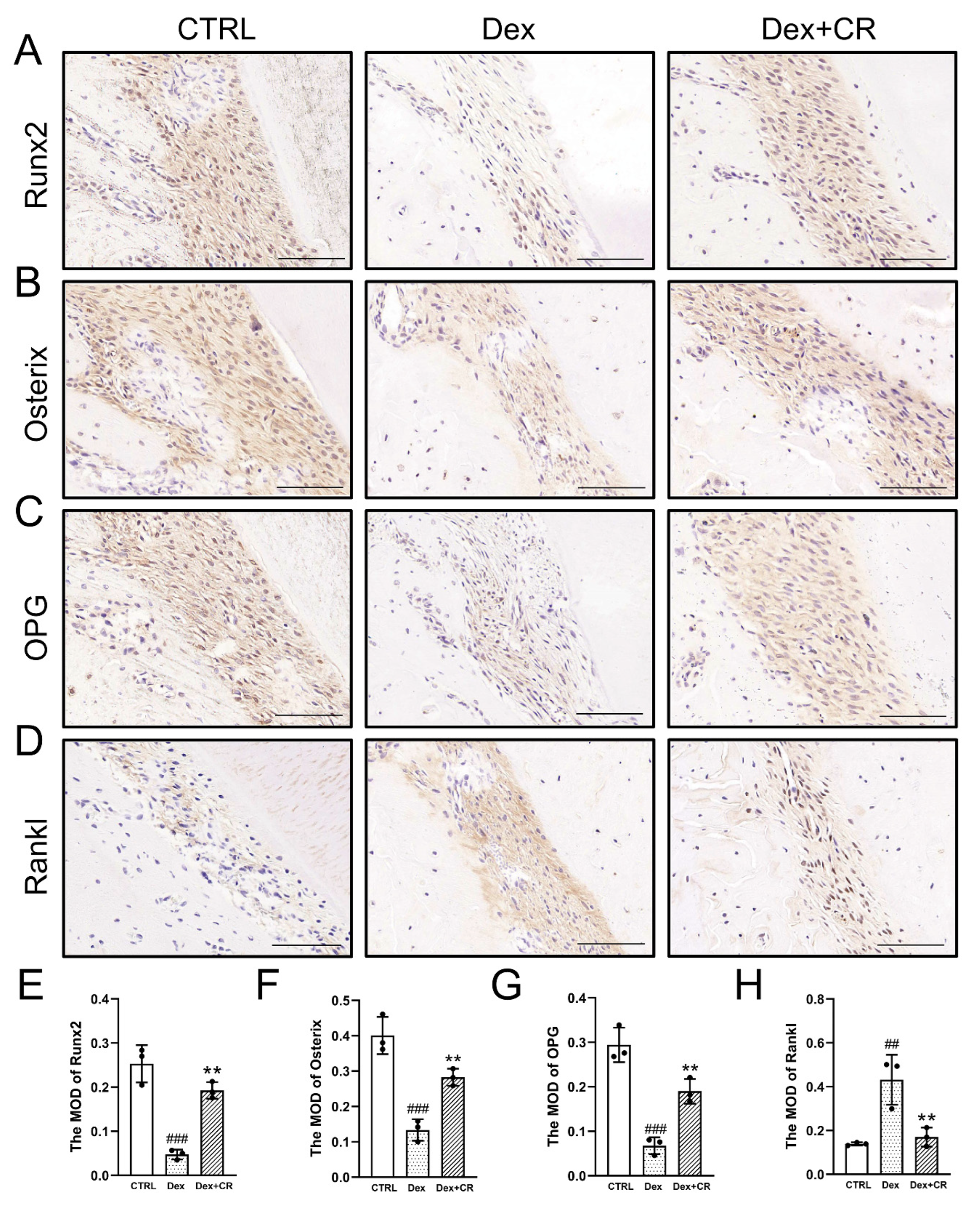 Nutrients 15 04906 g004