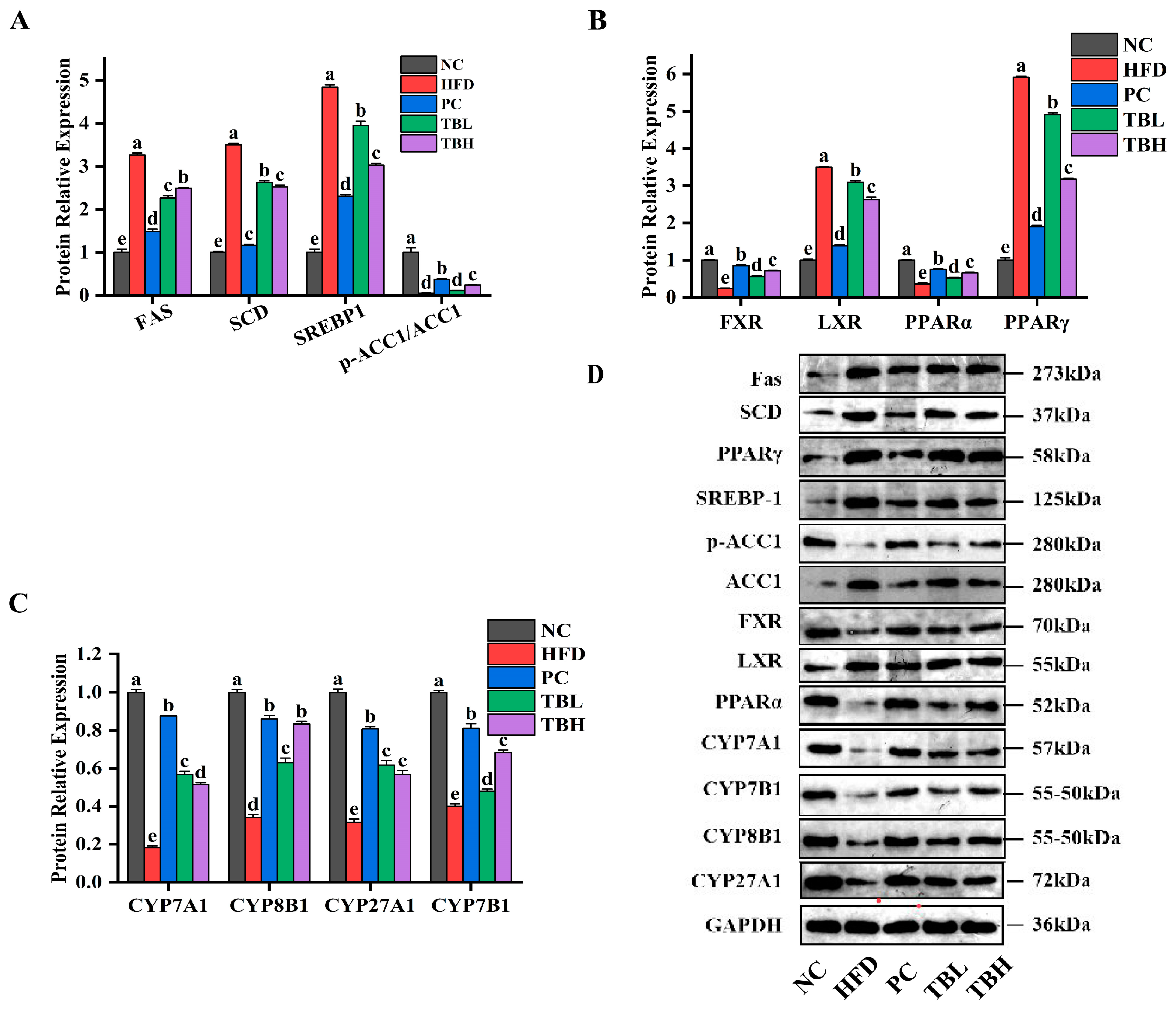 Nutrients 15 04912 g004
