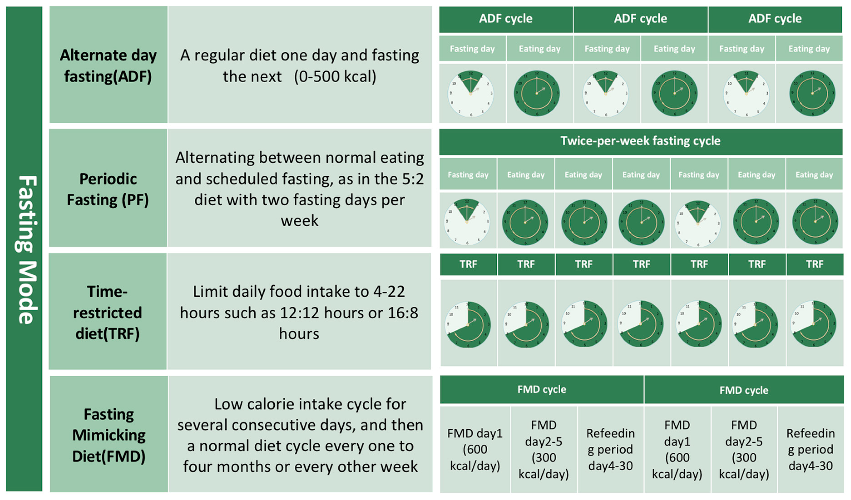 Nutrients 15 04915 g001 Nutrients 15 04915 g001