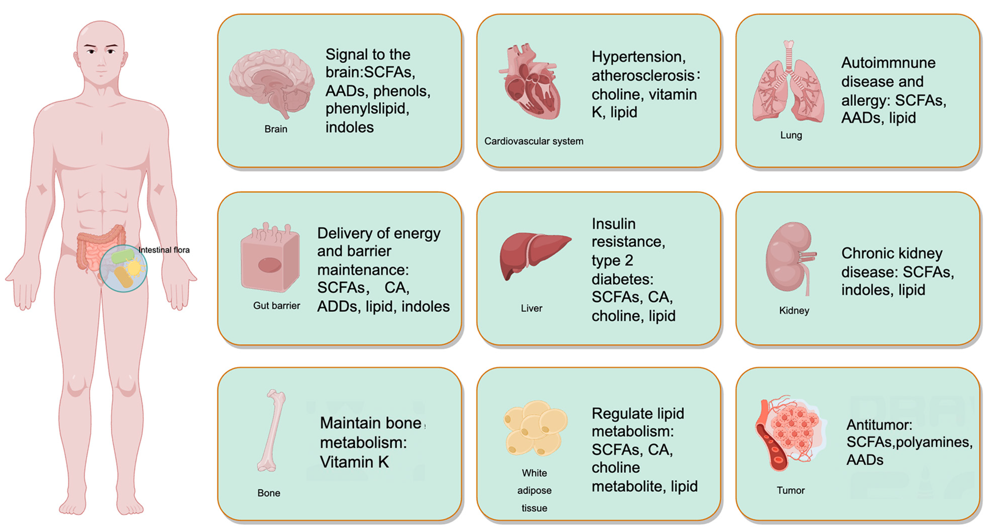 Nutrients 15 04915 g002 Nutrients 15 04915 g002