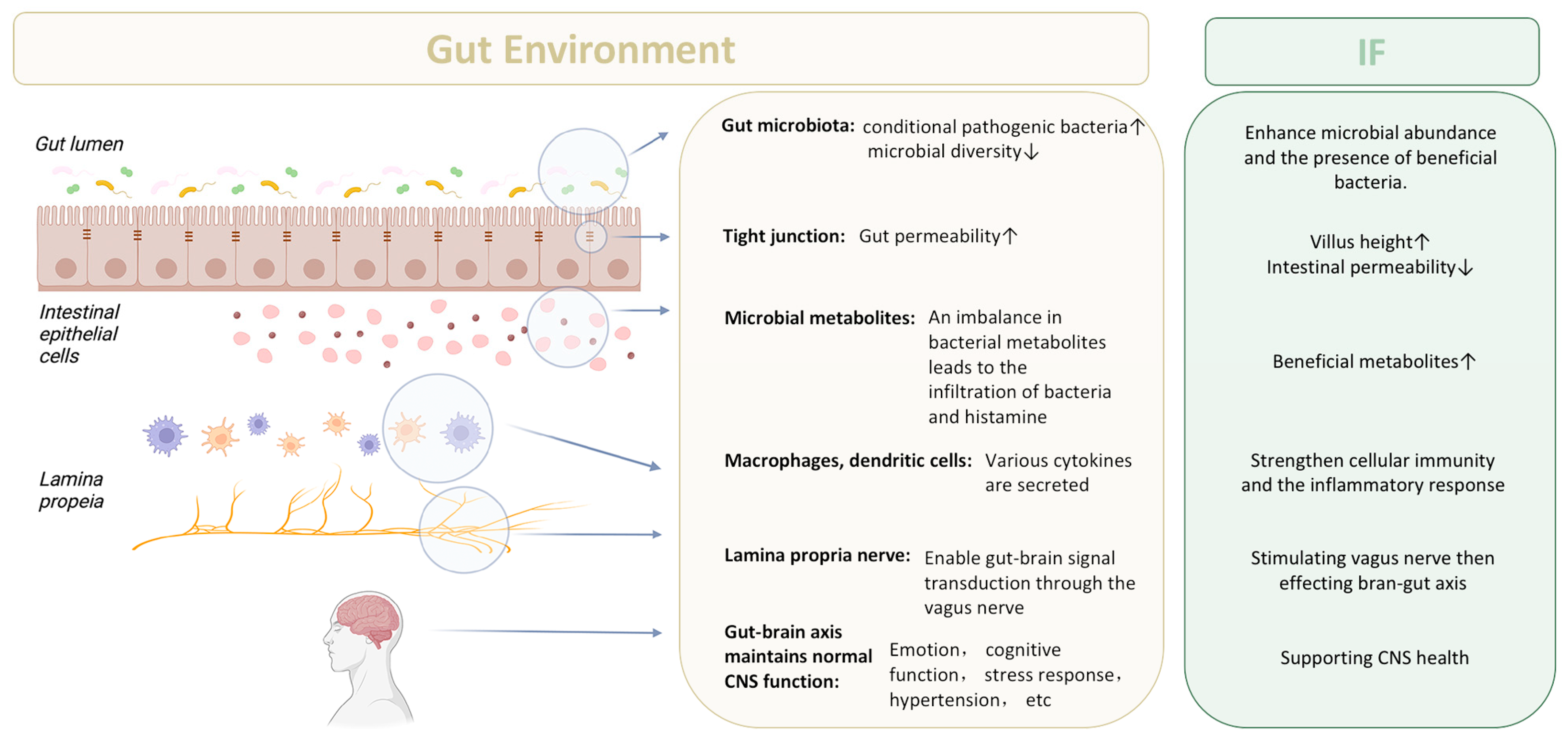 Nutrients 15 04915 g003 Nutrients 15 04915 g003