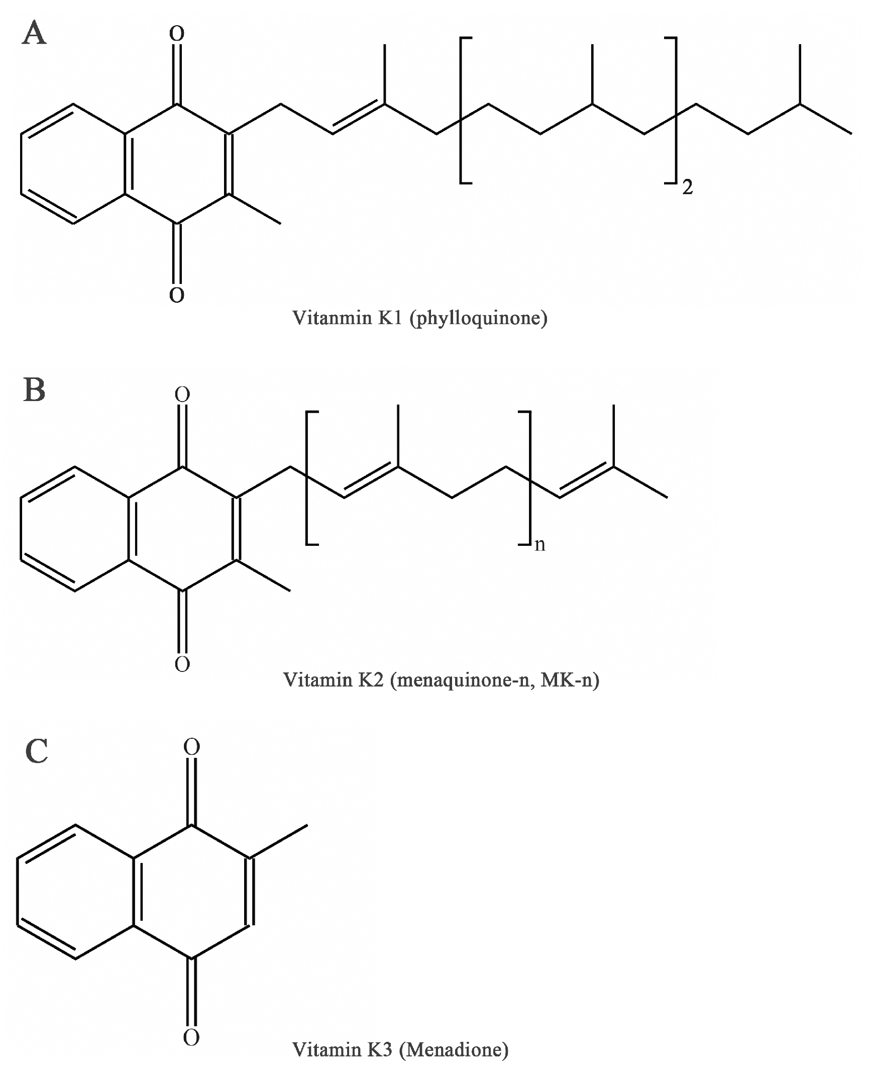 Nutrients 15 04935 g001 Nutrients 15 04935 g001
