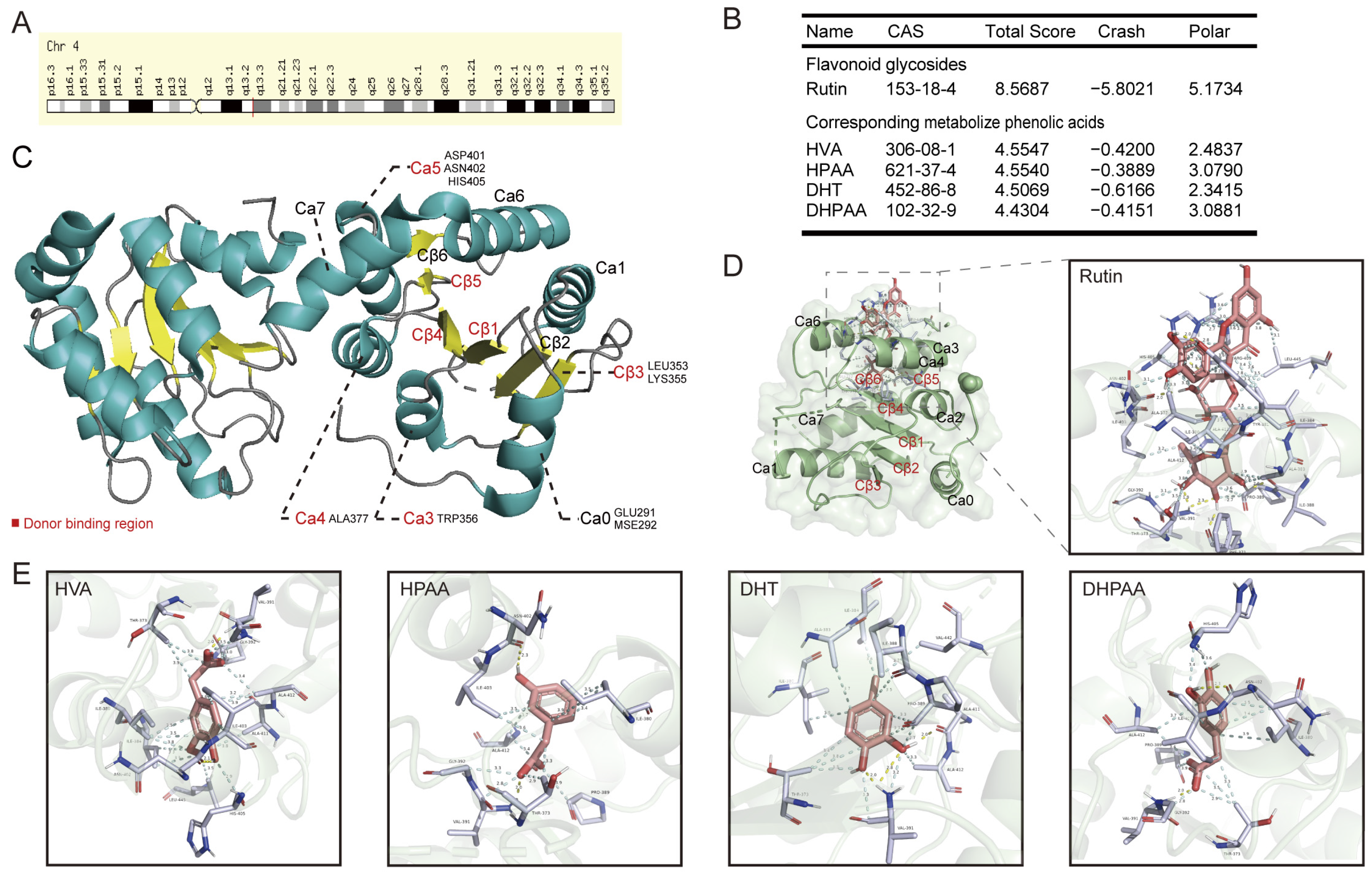 Nutrients 15 04941 g002