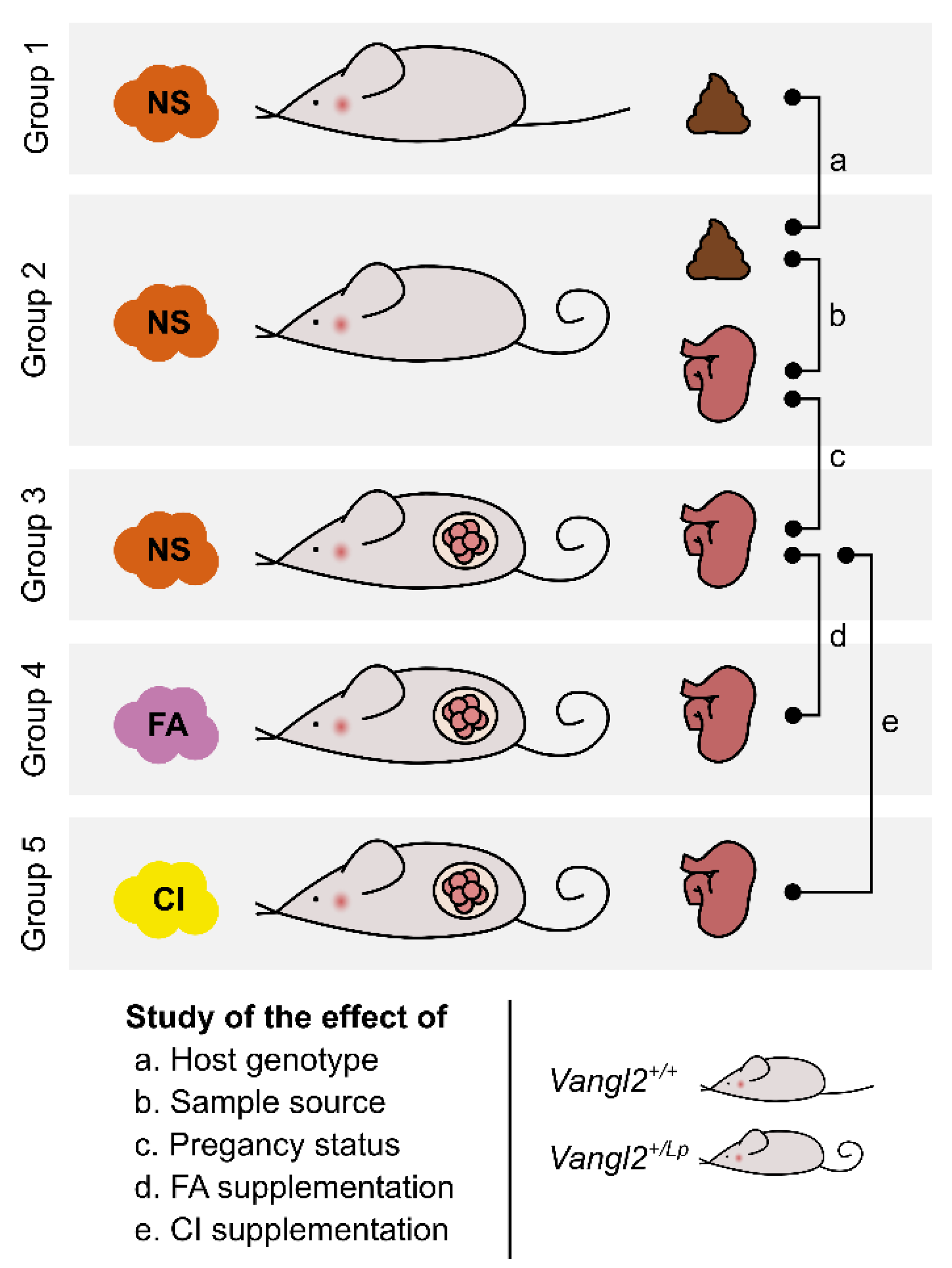 Nutrients 15 04944 g001