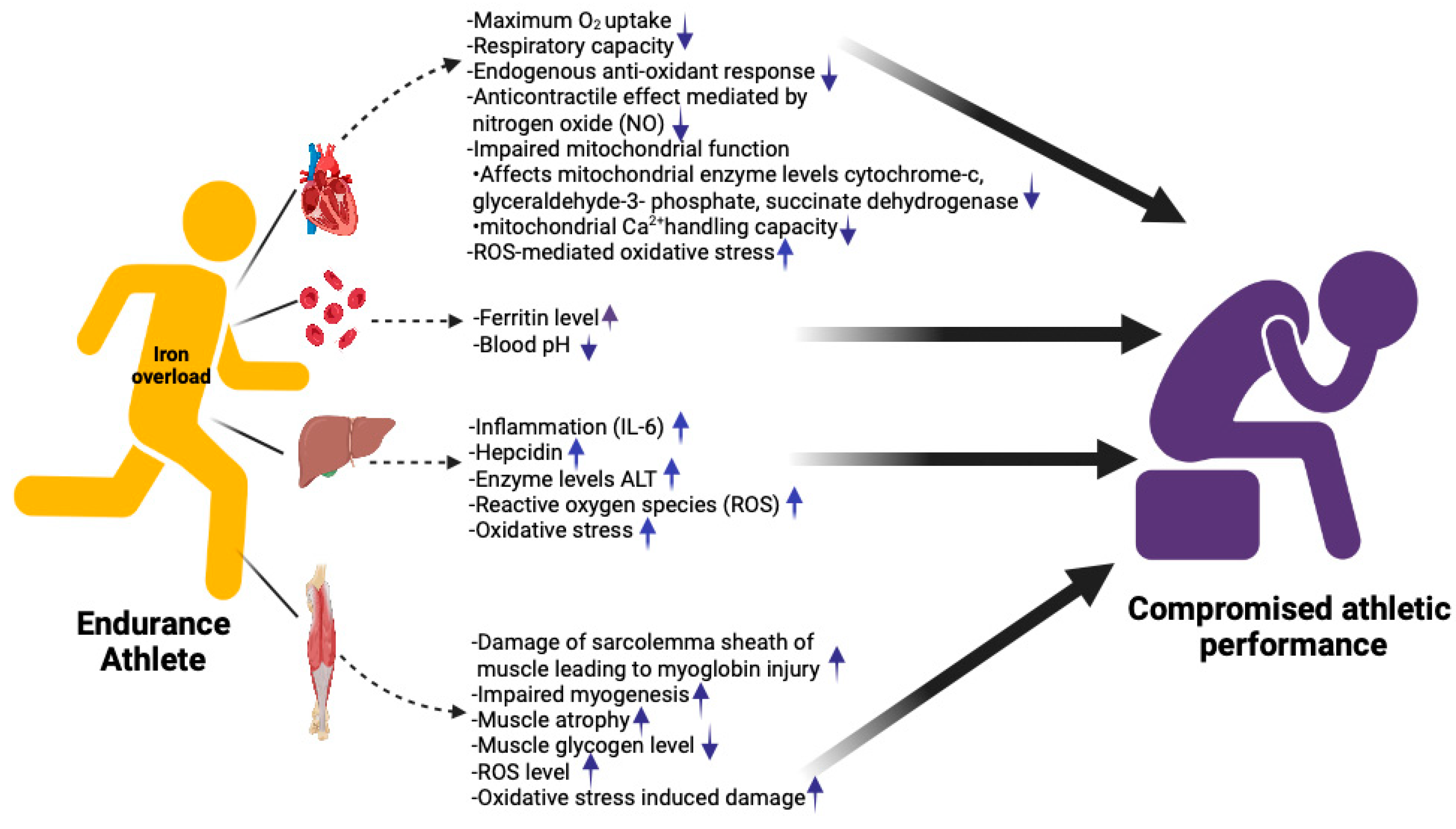 Nutrients 15 04945 g001 Nutrients 15 04945 g001