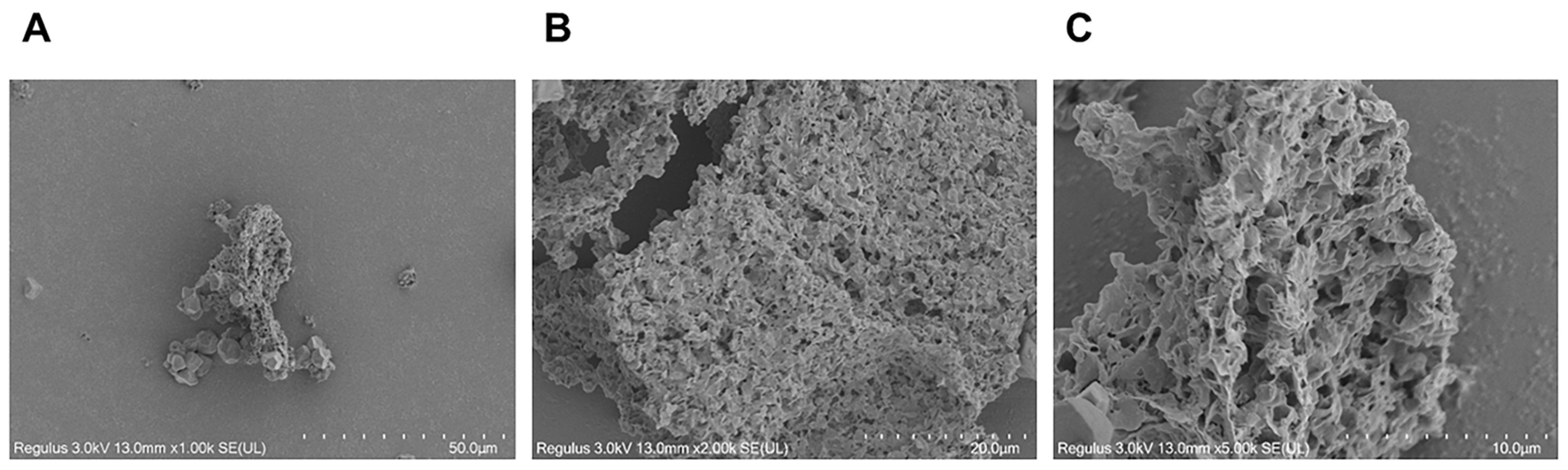 Nutrients 15 04946 g003