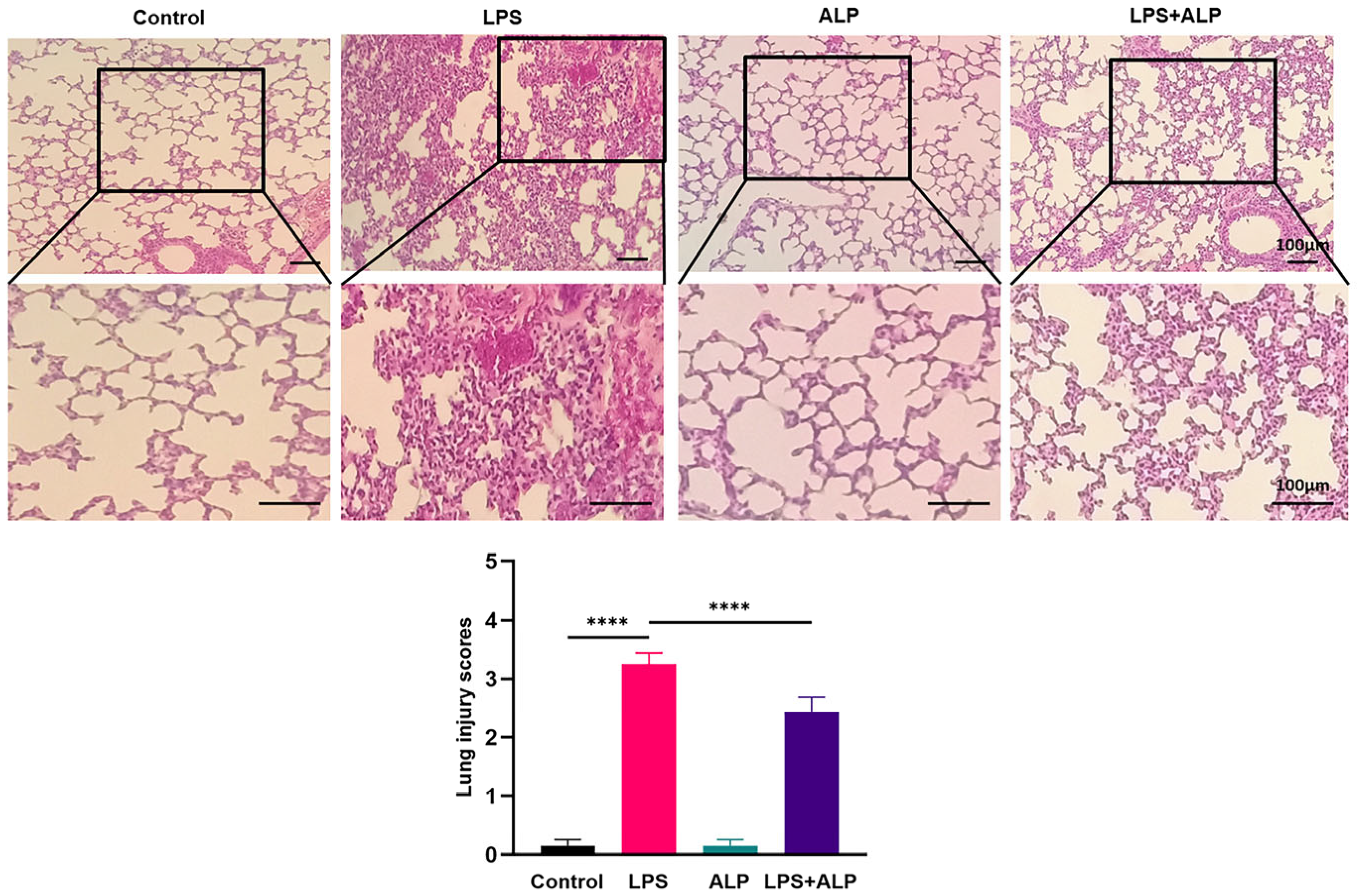 Nutrients 15 04946 g005