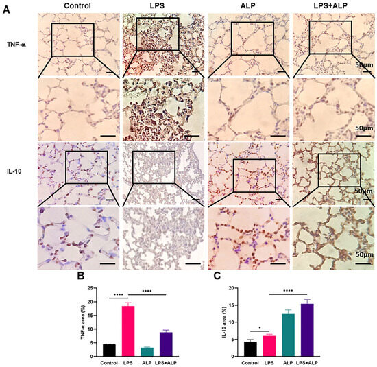 Preventive Effect of Arctium lappa Polysaccharides on Acute Lung Injury ...