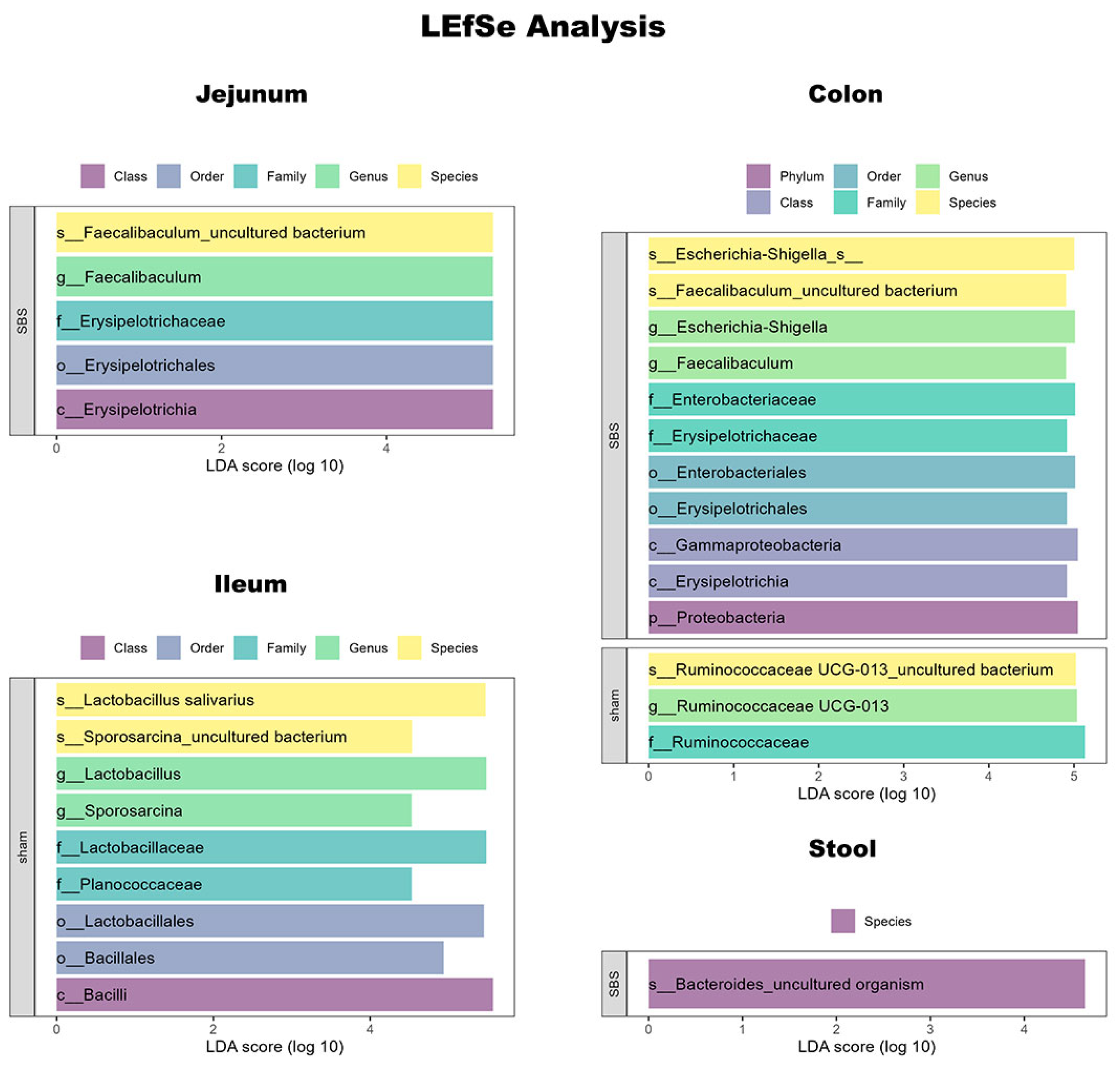 Nutrients 15 04949 g005 Nutrients 15 04949 g005