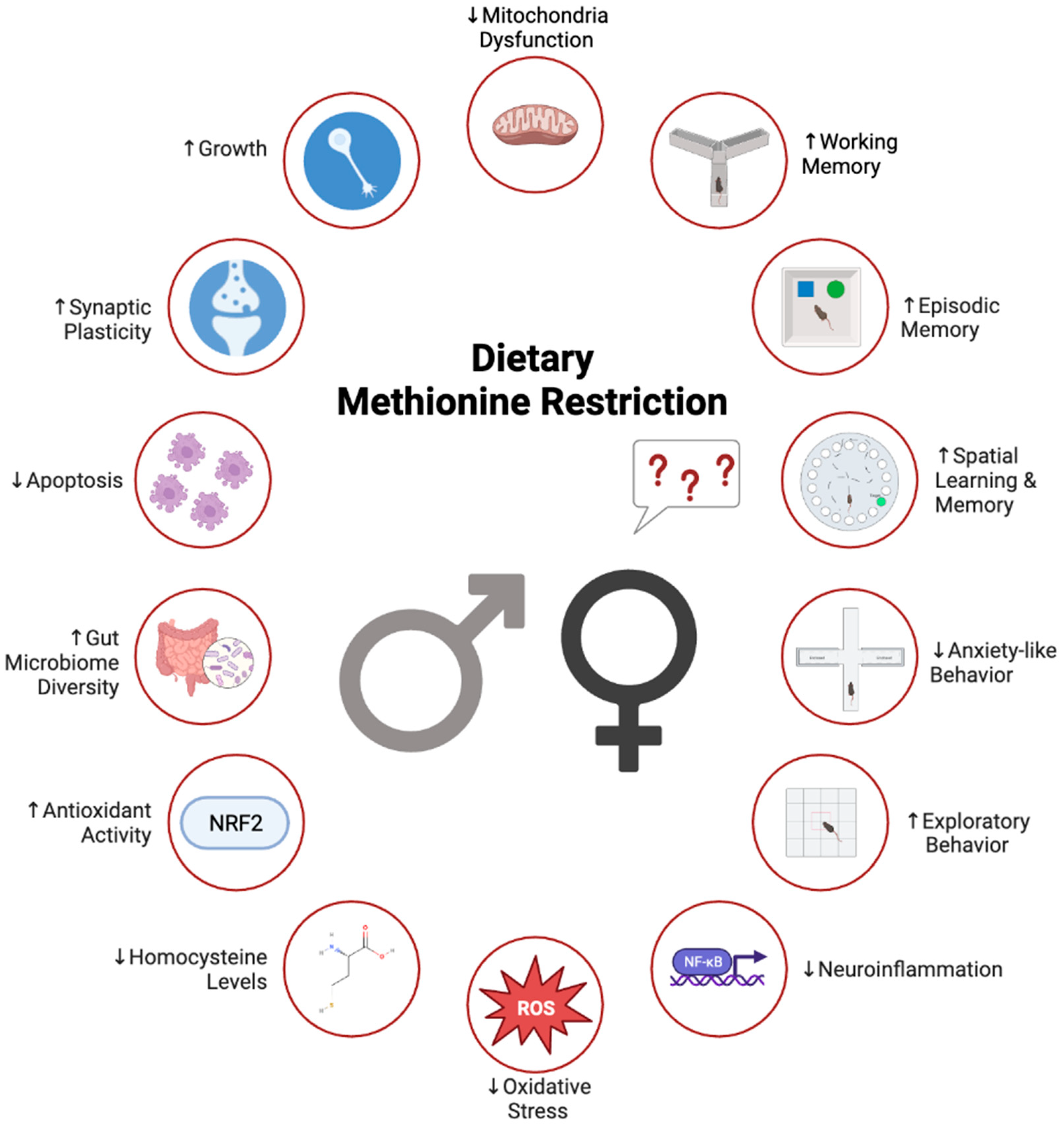 Nutrients 15 04950 g002