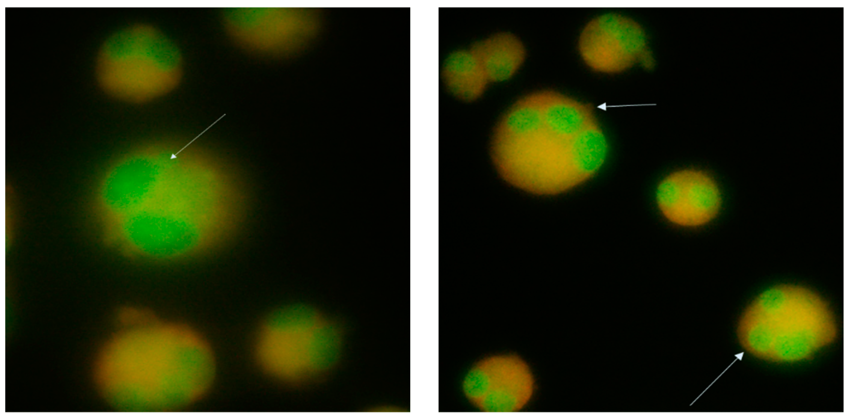 Nutrients 15 04951 g002
