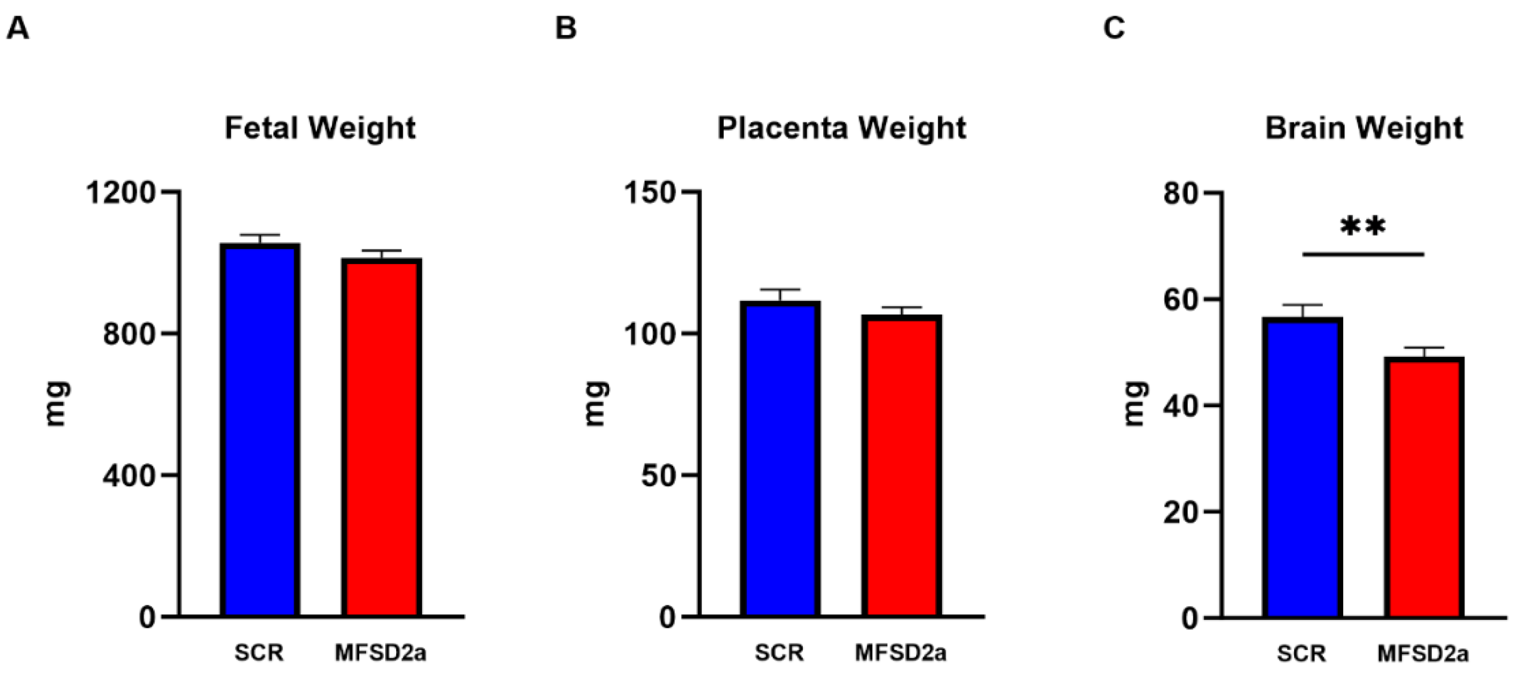 Nutrients 15 04956 g002 Nutrients 15 04956 g002
