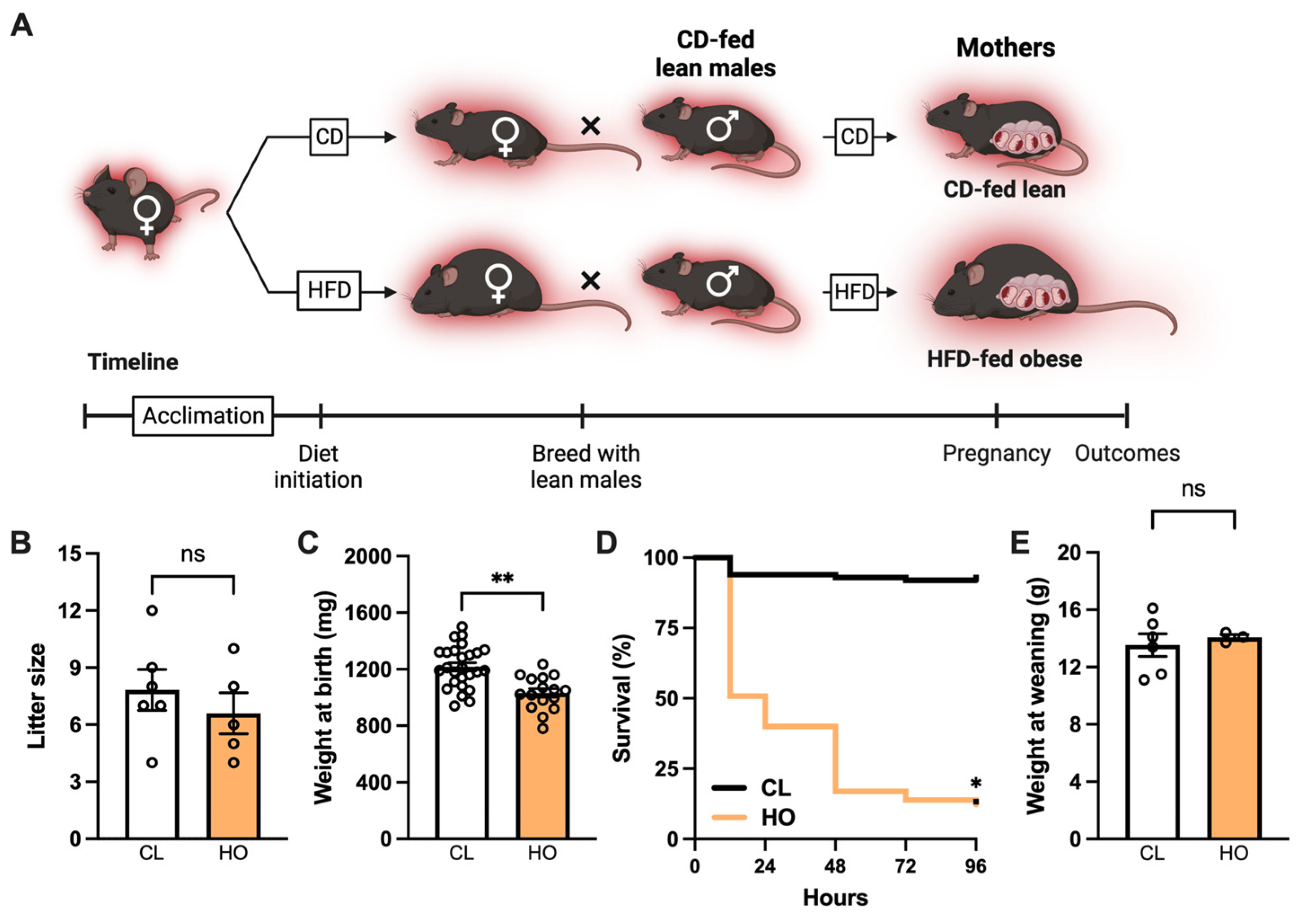 Nutrients 15 04958 g001