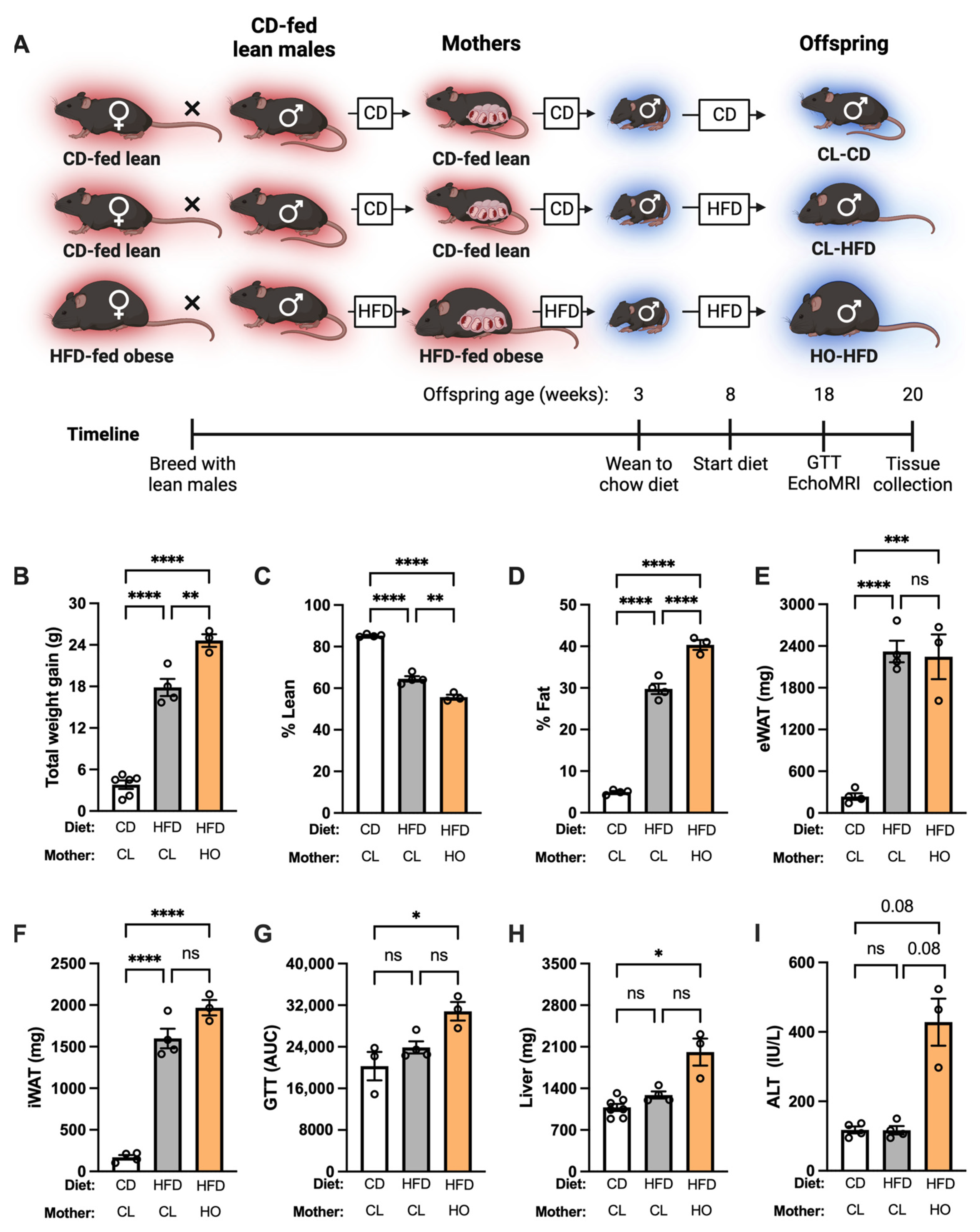 Nutrients 15 04958 g003