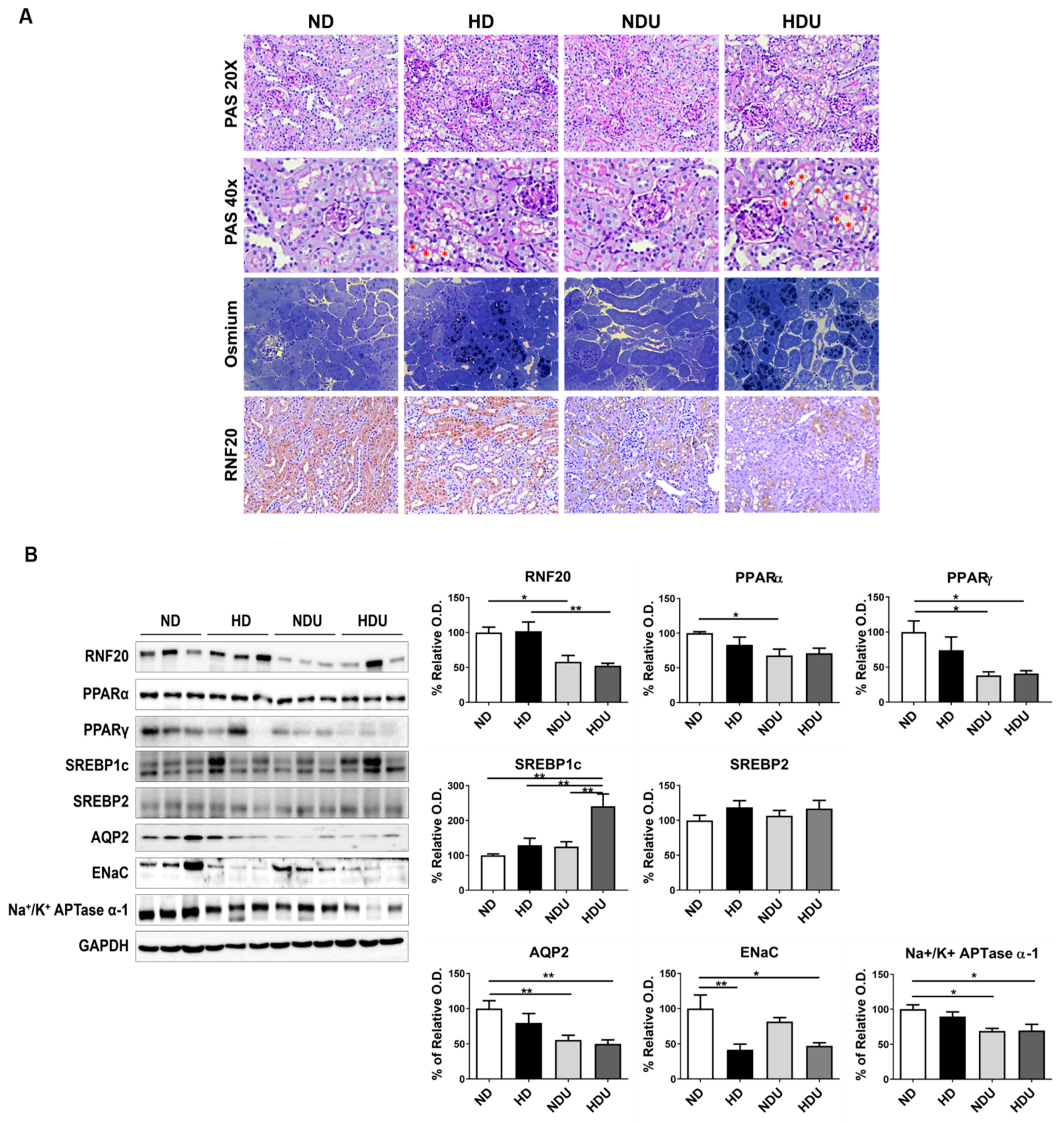 Nutrients 15 04959 g003