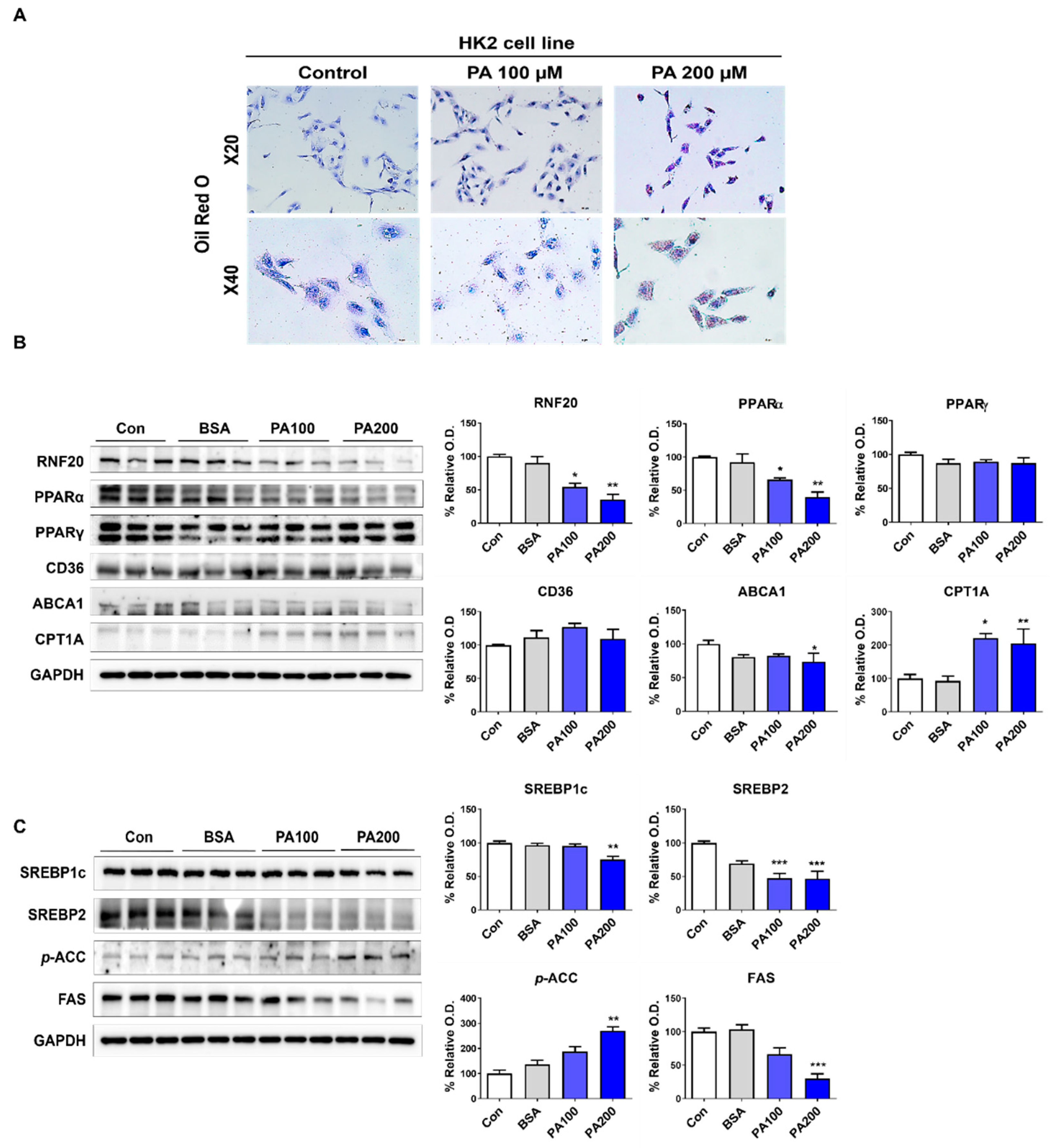 Nutrients 15 04959 g004