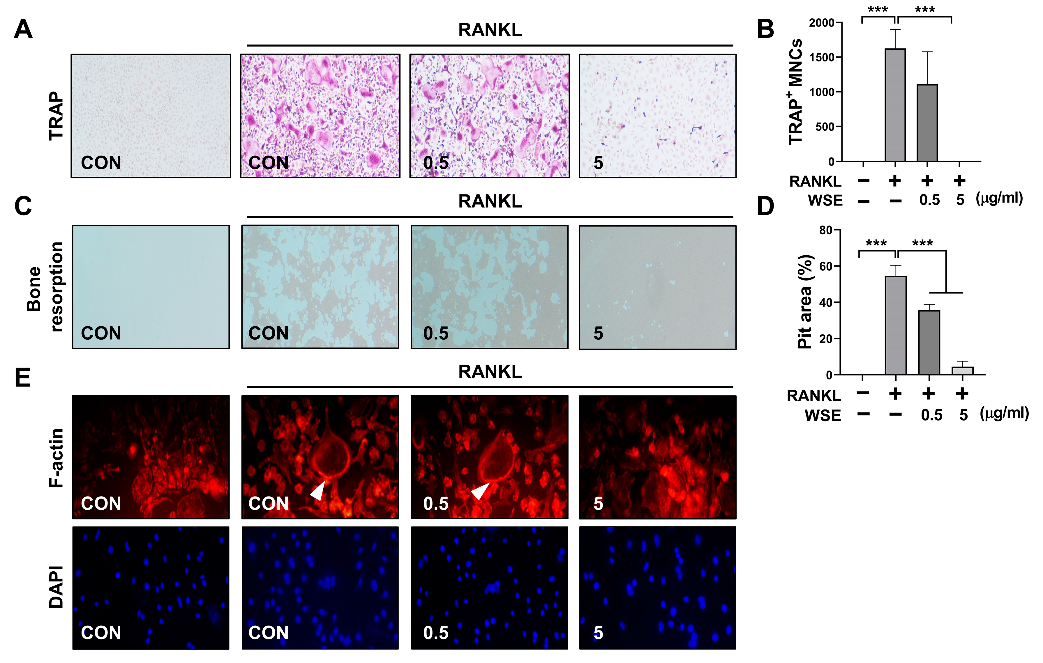 Nutrients 15 04968 g001