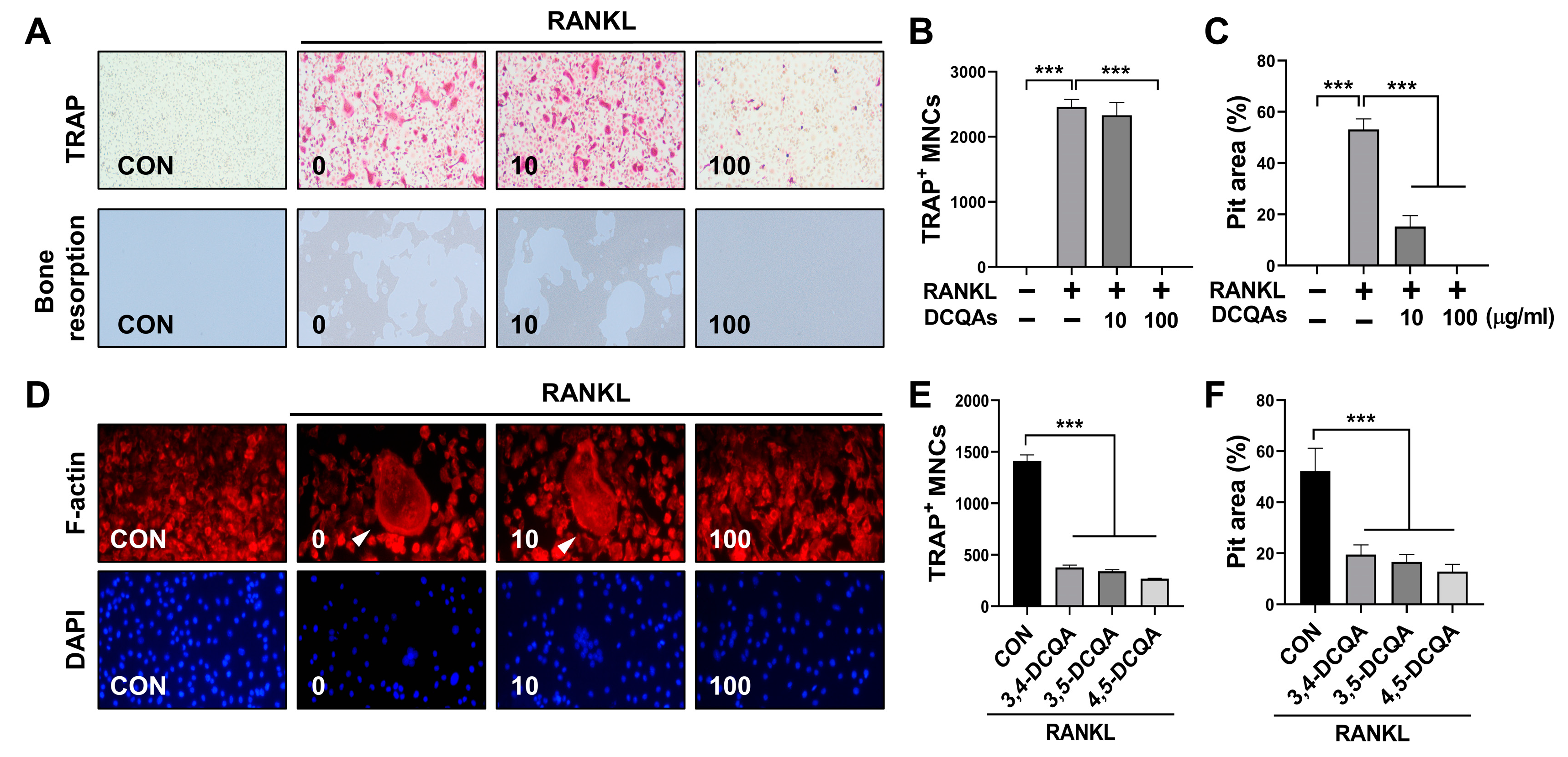 Nutrients 15 04968 g005