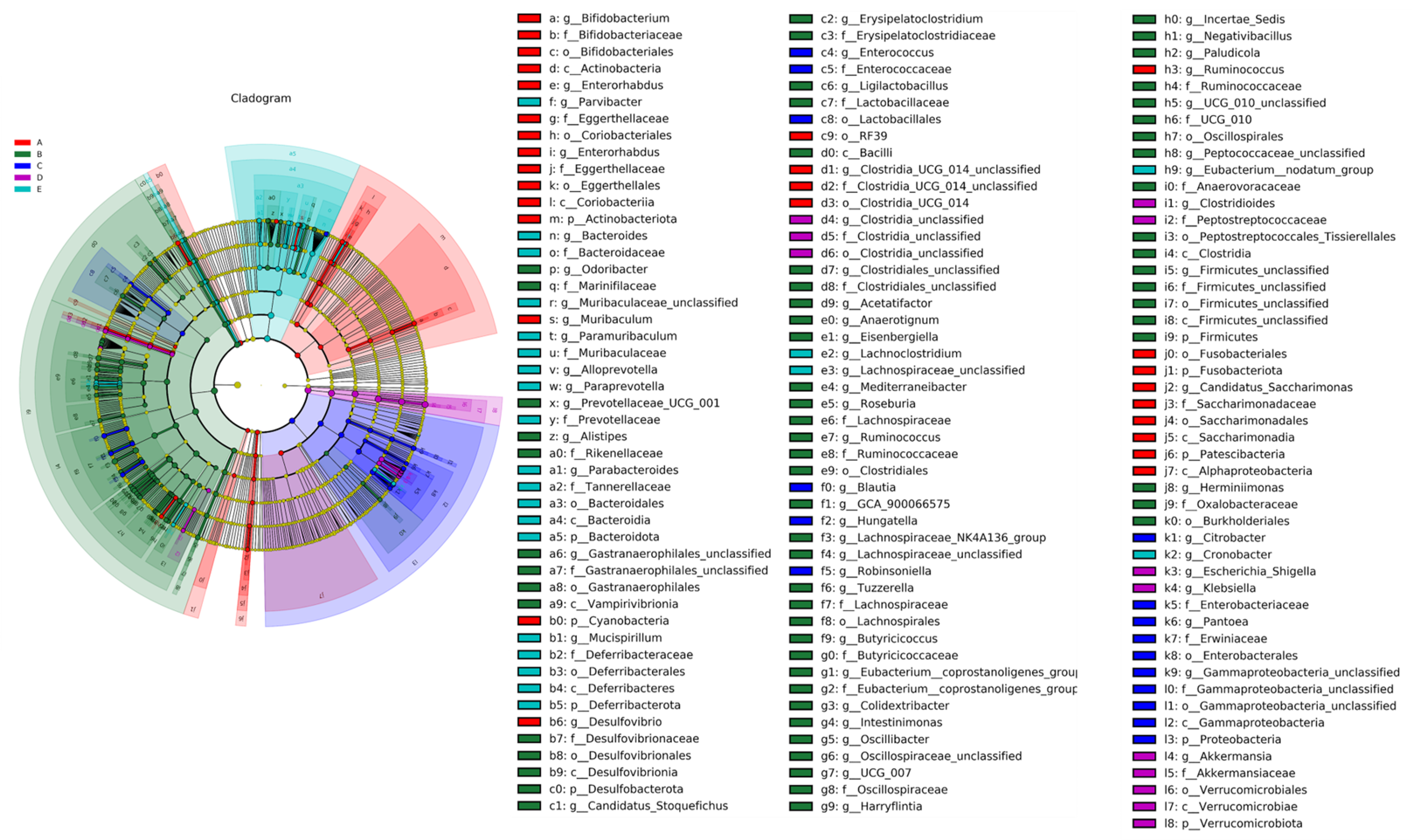 Nutrients 15 04971 g007 Nutrients 15 04971 g007