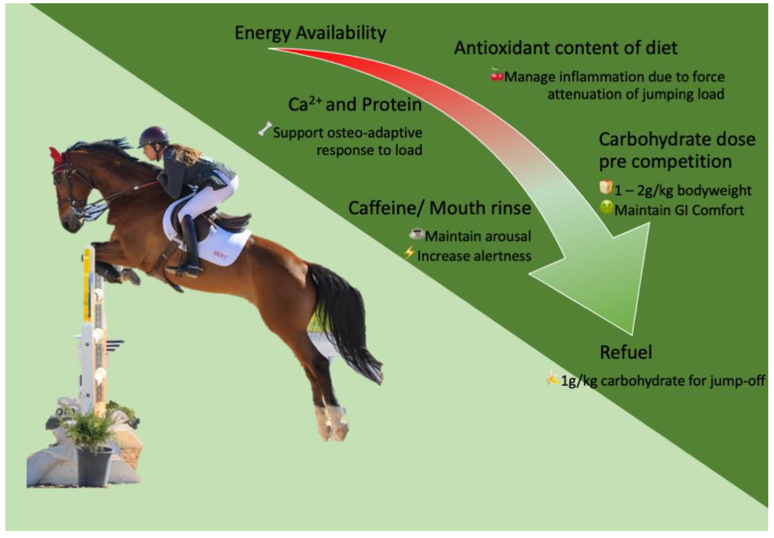 Show Jumping Dna Equestrian Genetic Horse Riding T-Shirt Show Jumping Dna Equestrian Genetic Horse Riding T-Shirt