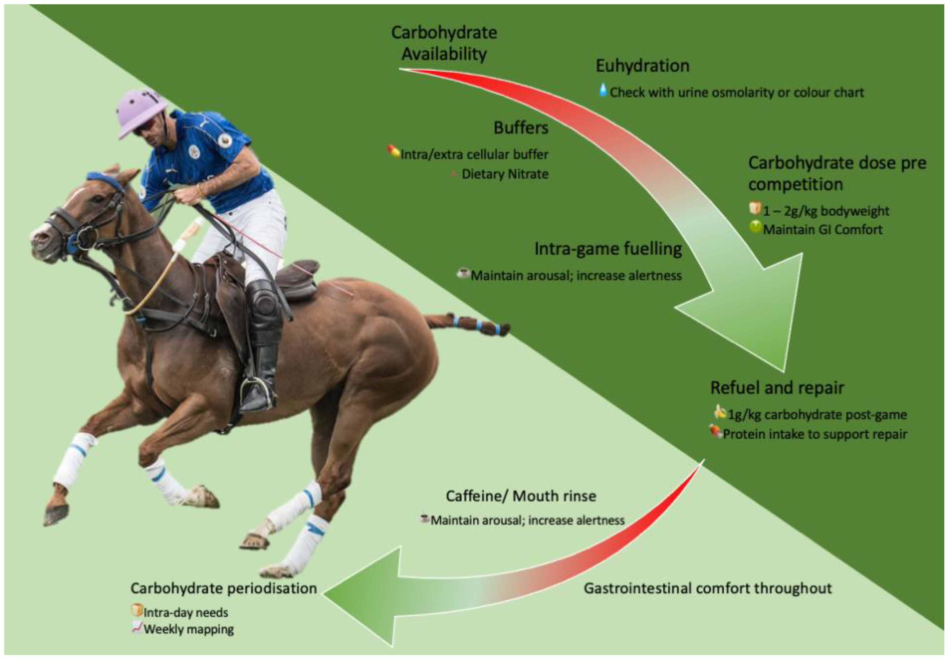 Nutrients 15 04977 g002