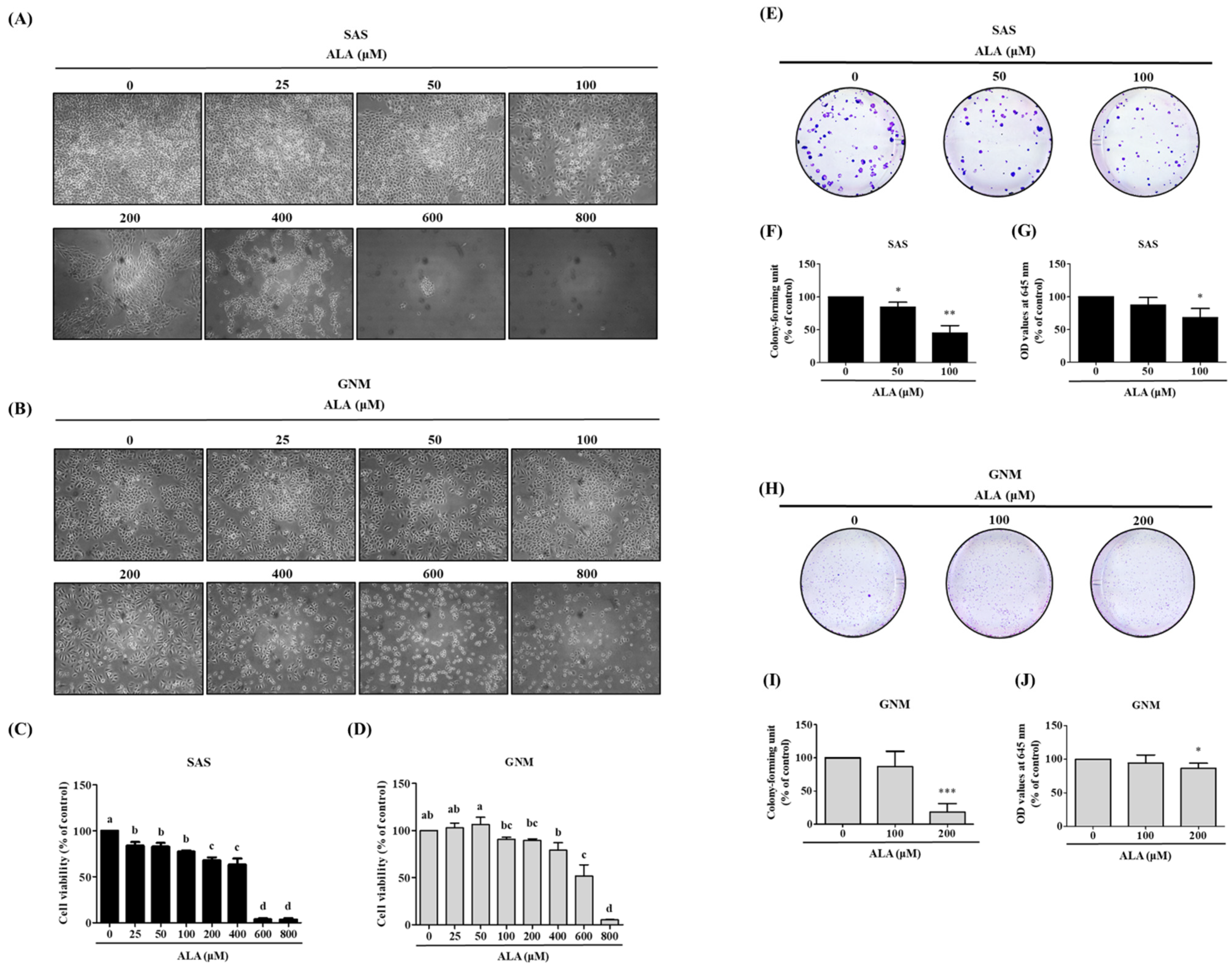 Nutrients 15 04992 g001