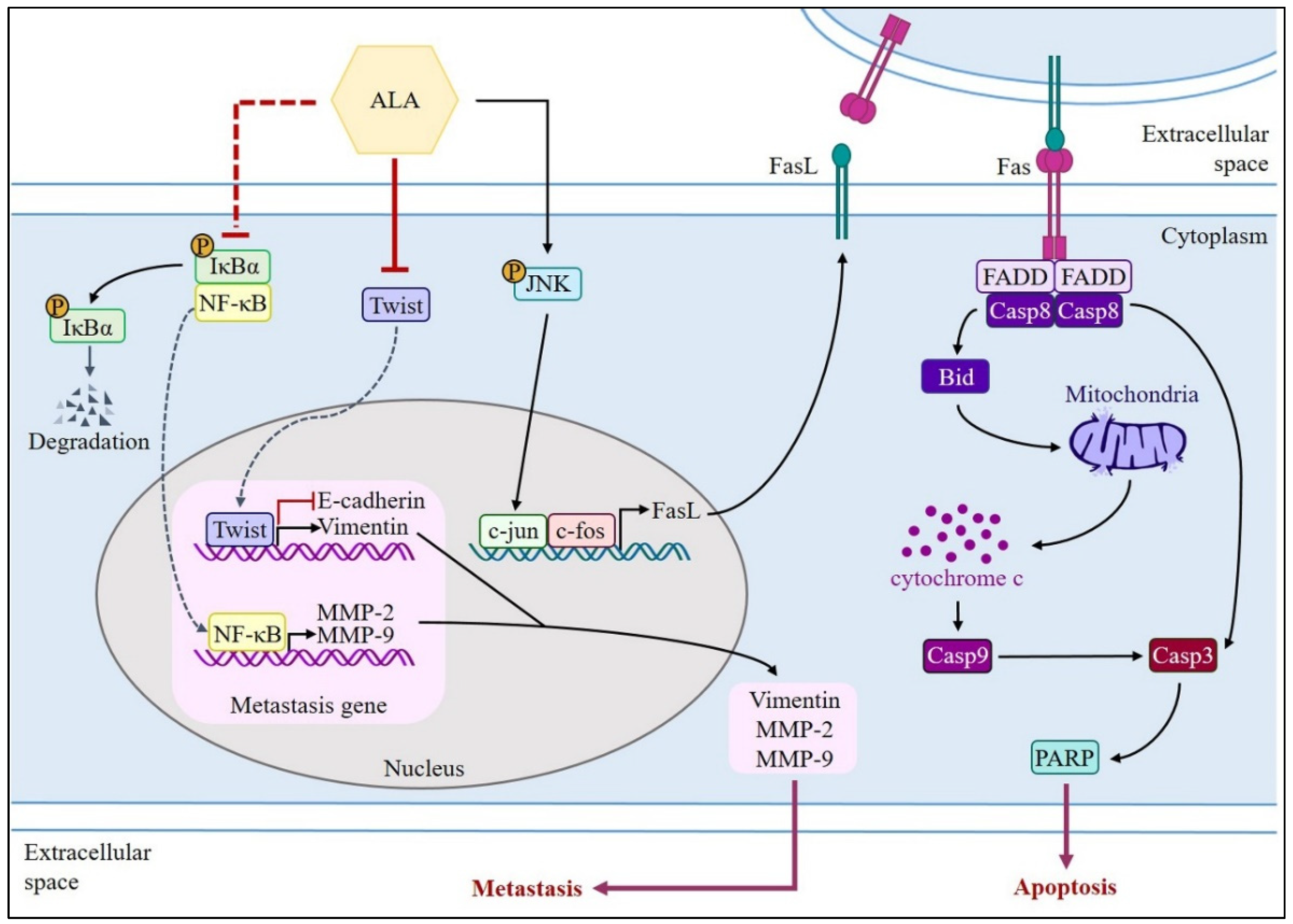 Nutrients 15 04992 g008