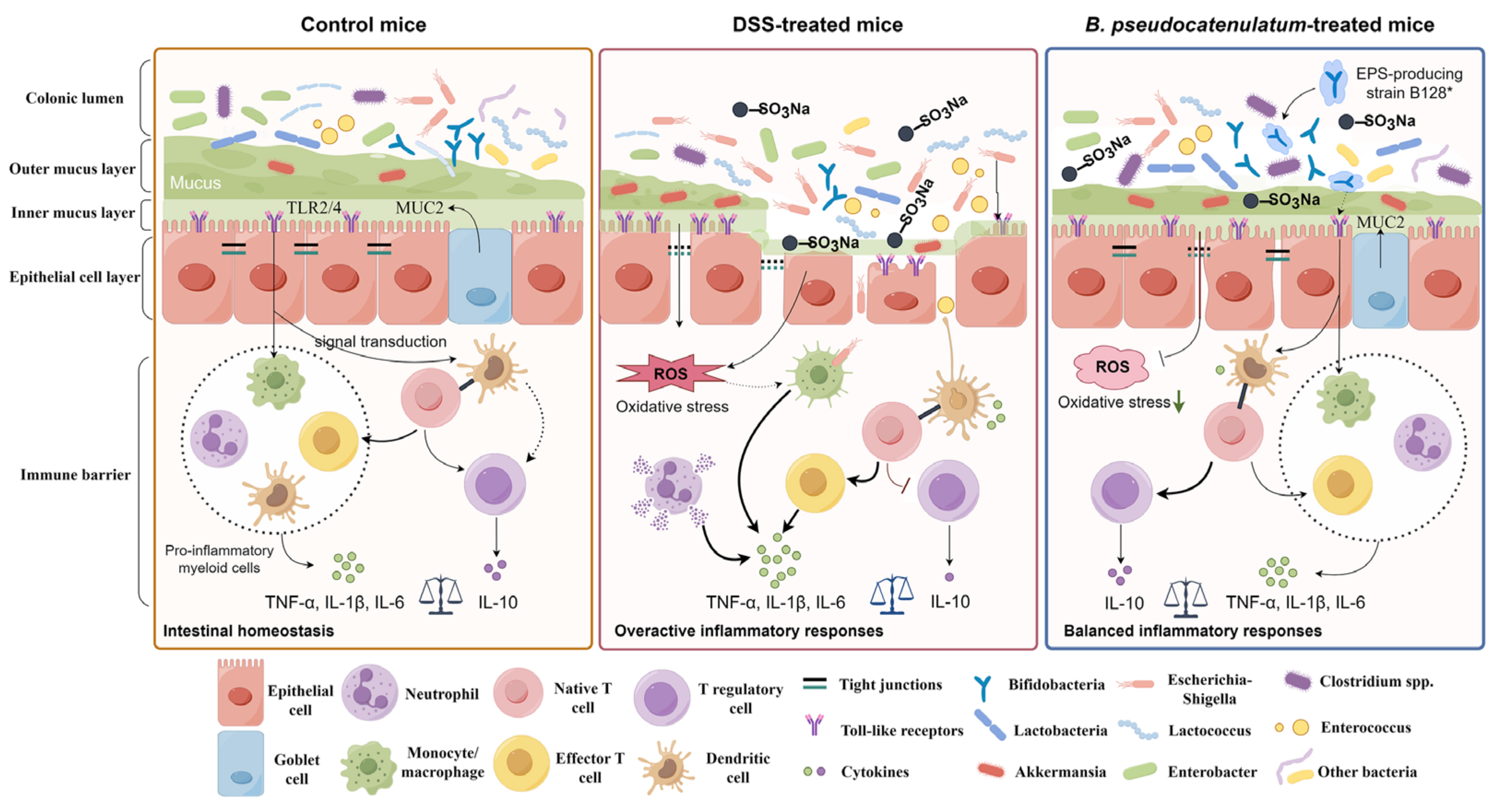 Nutrients 15 04993 g008