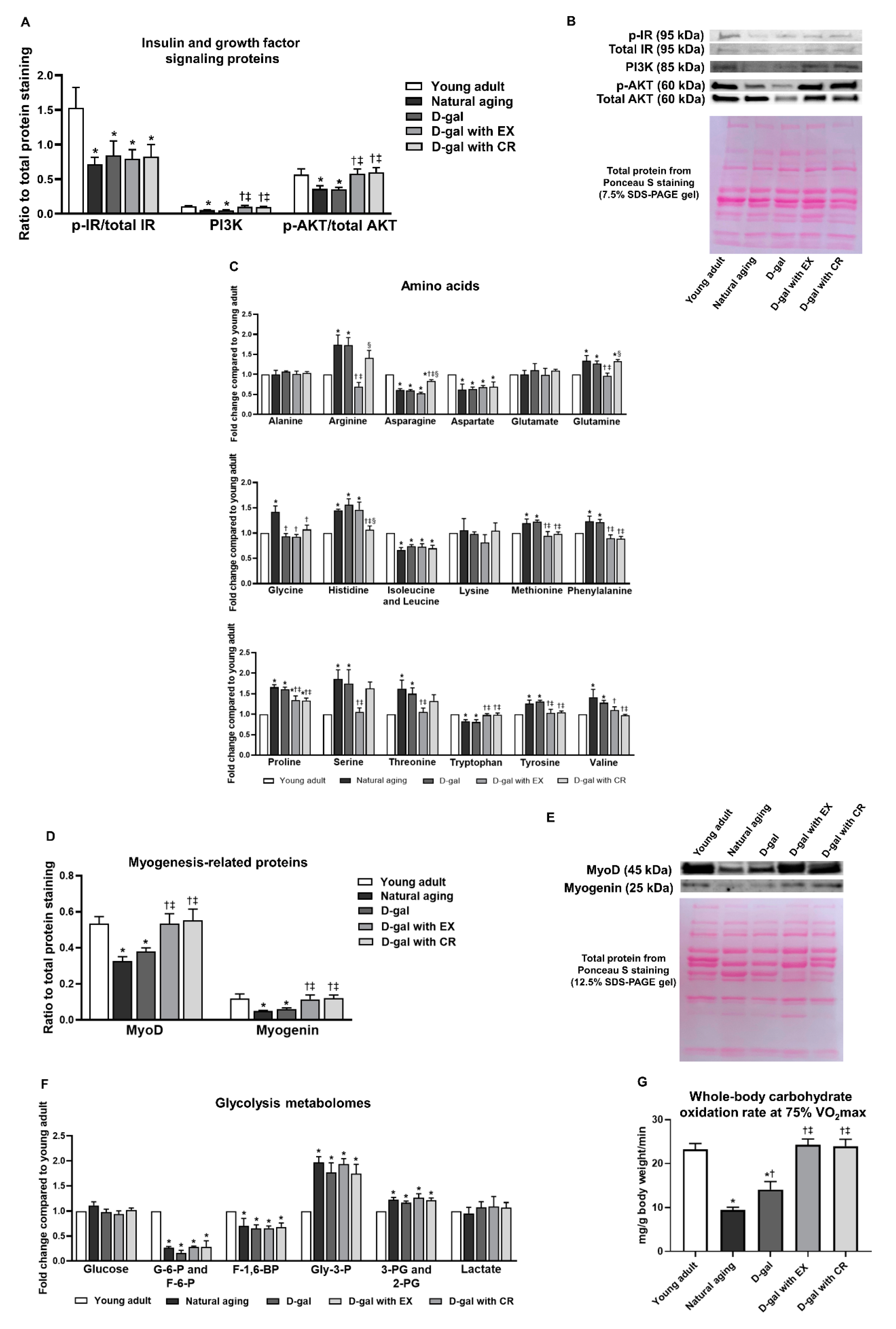 Nutrients 15 05004 g005