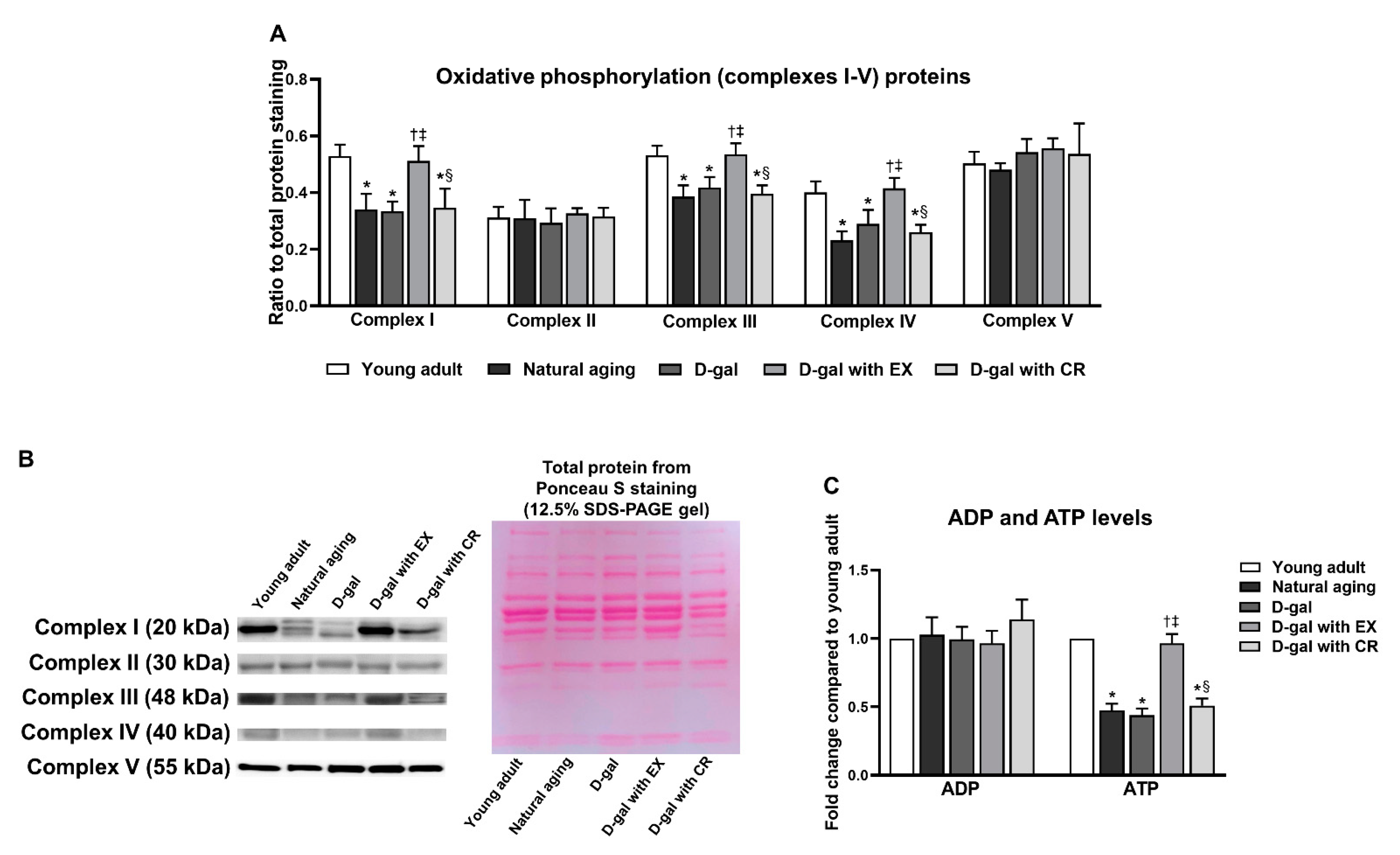 Nutrients 15 05004 g007