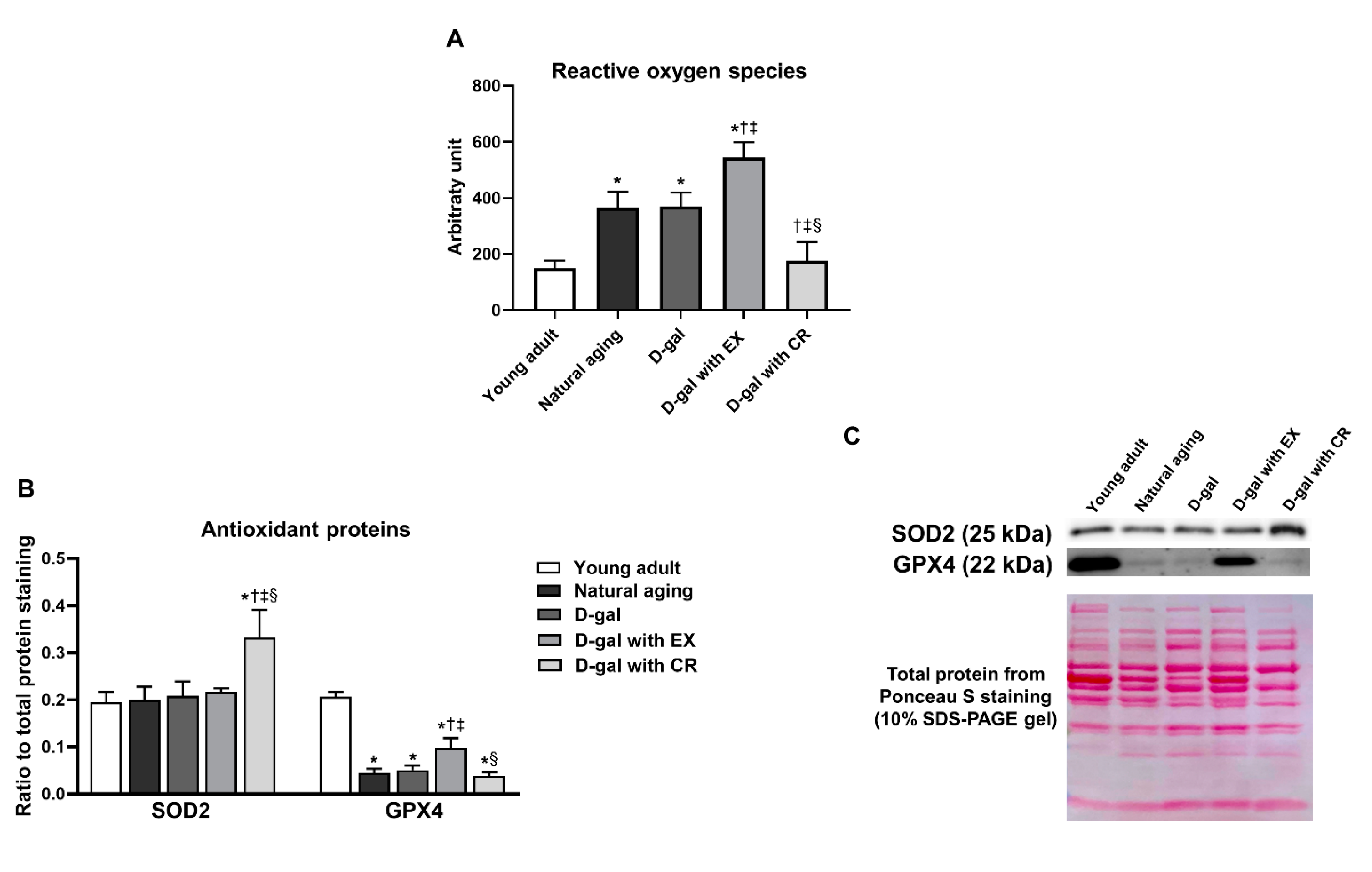 Nutrients 15 05004 g008