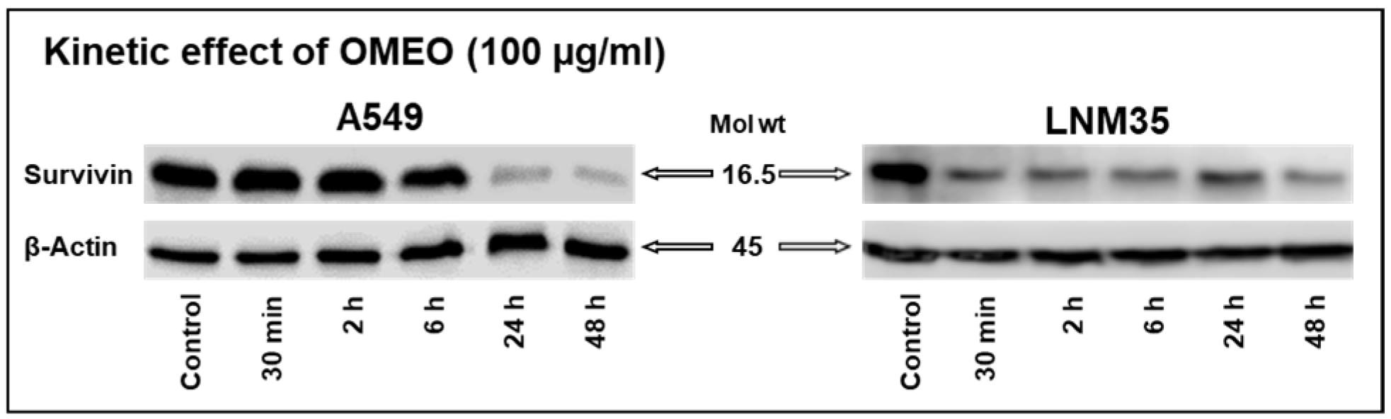 Nutrients 15 05010 g004