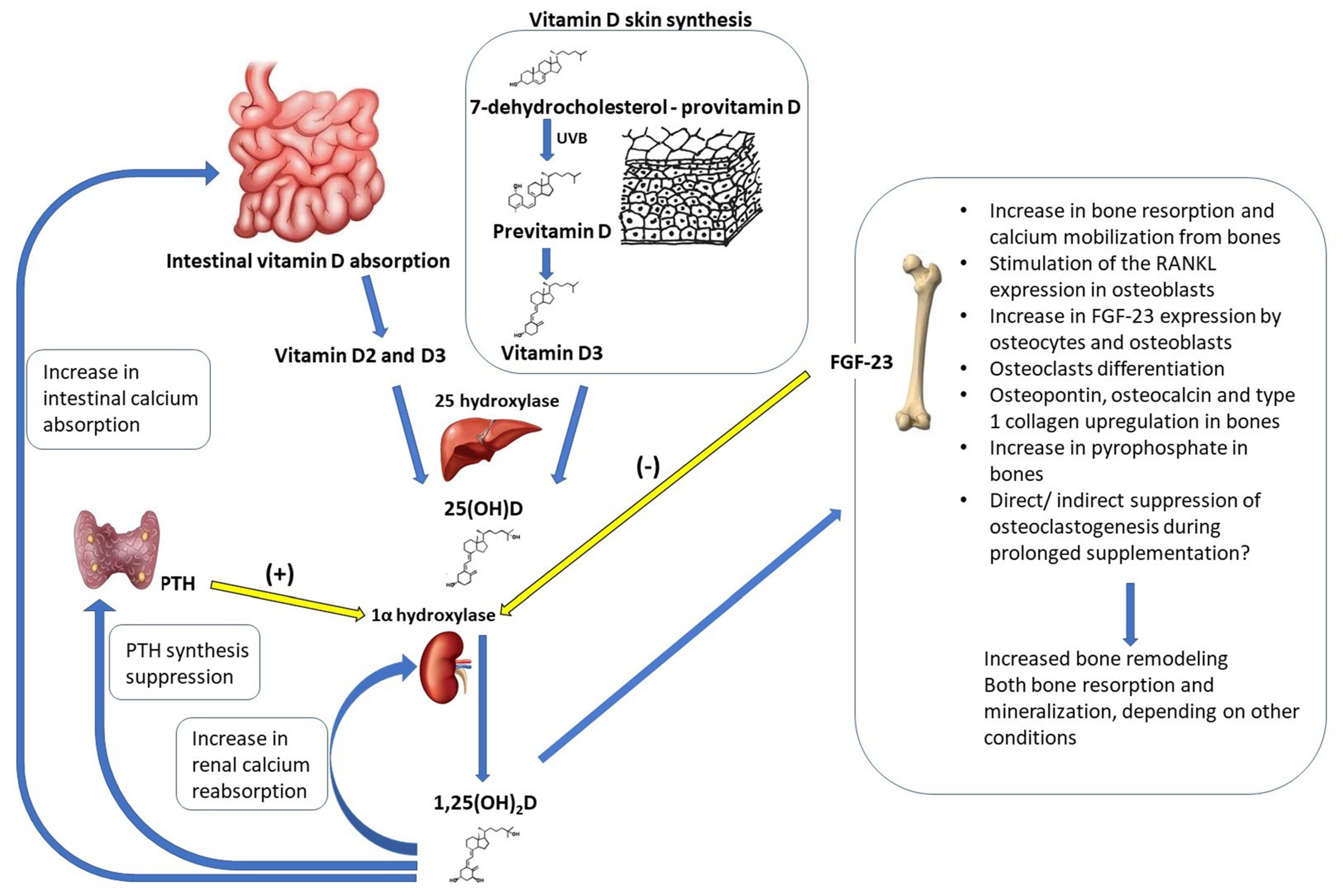 Nutrients 15 05014 g003