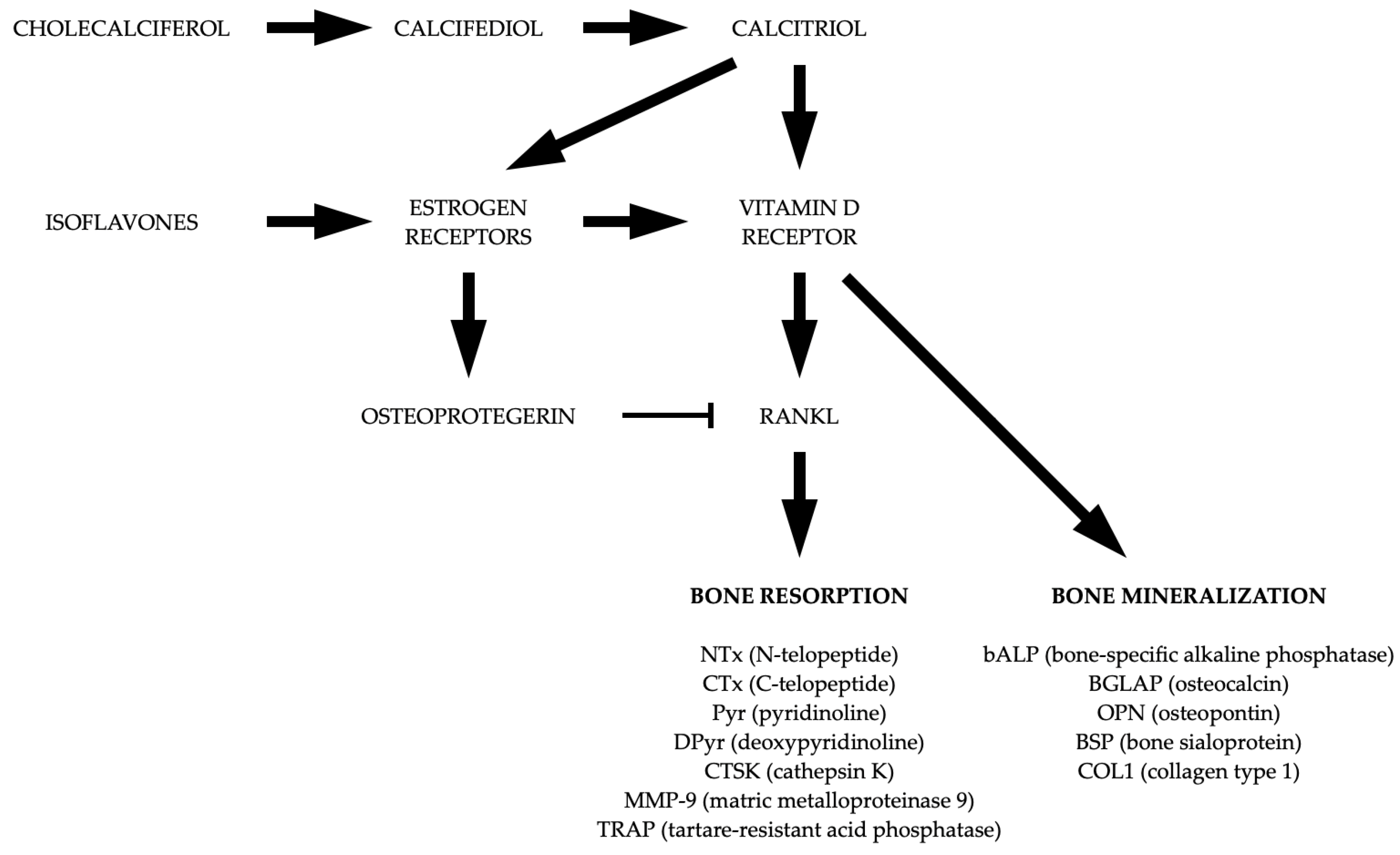 Nutrients 15 05014 g004