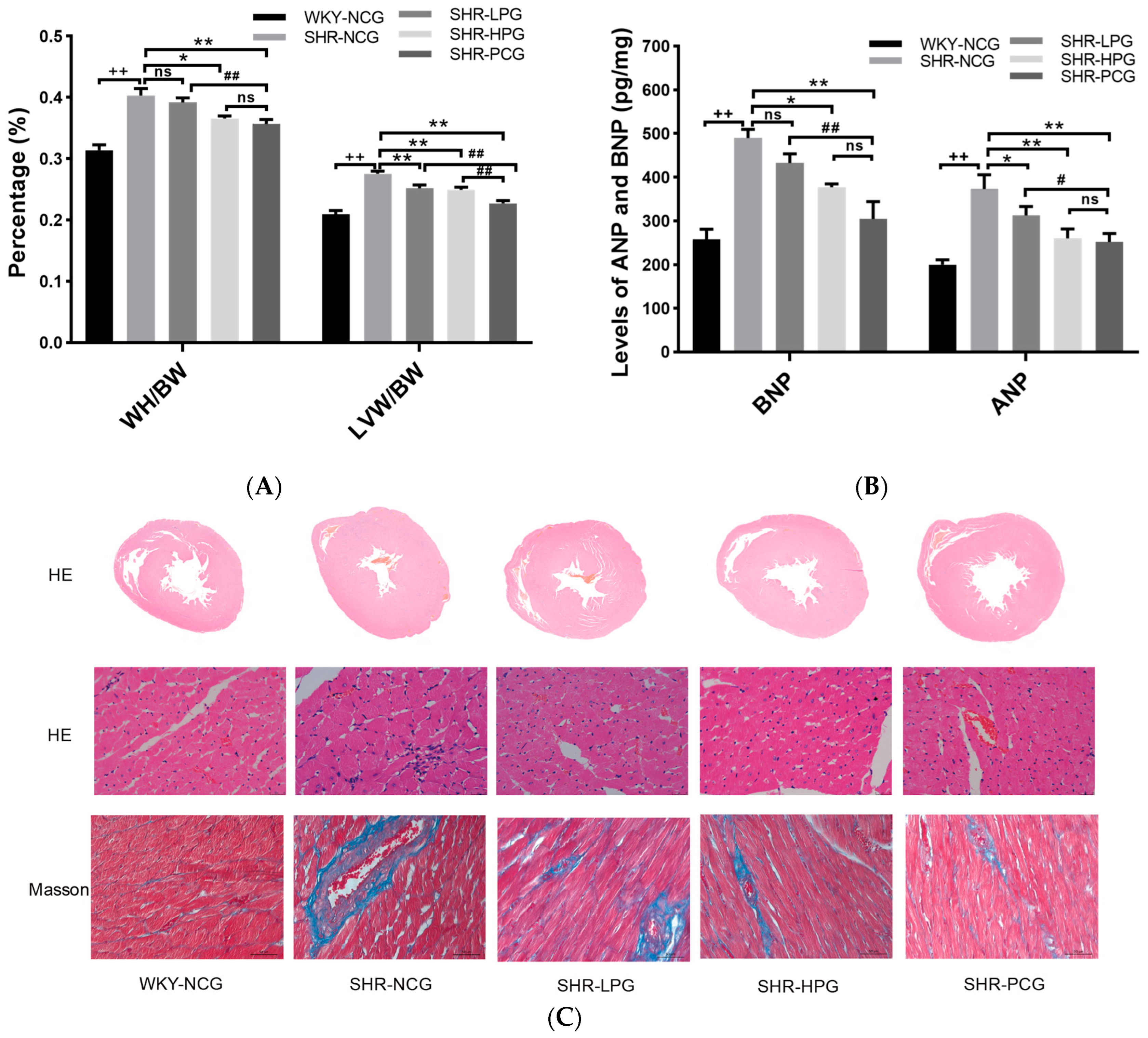 Nutrients 15 05021 g001a Nutrients 15 05021 g001a
