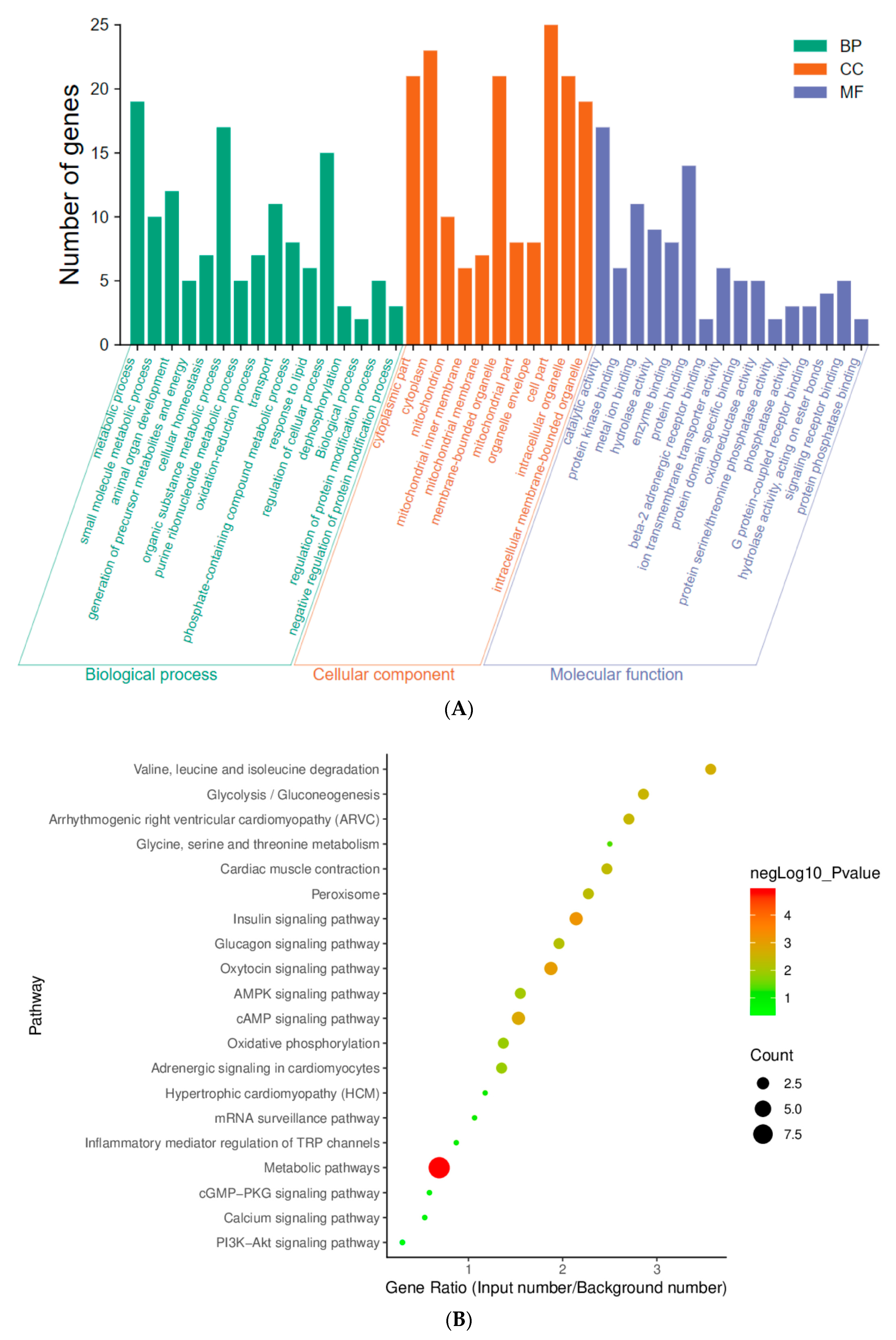 Nutrients 15 05021 g003a Nutrients 15 05021 g003a