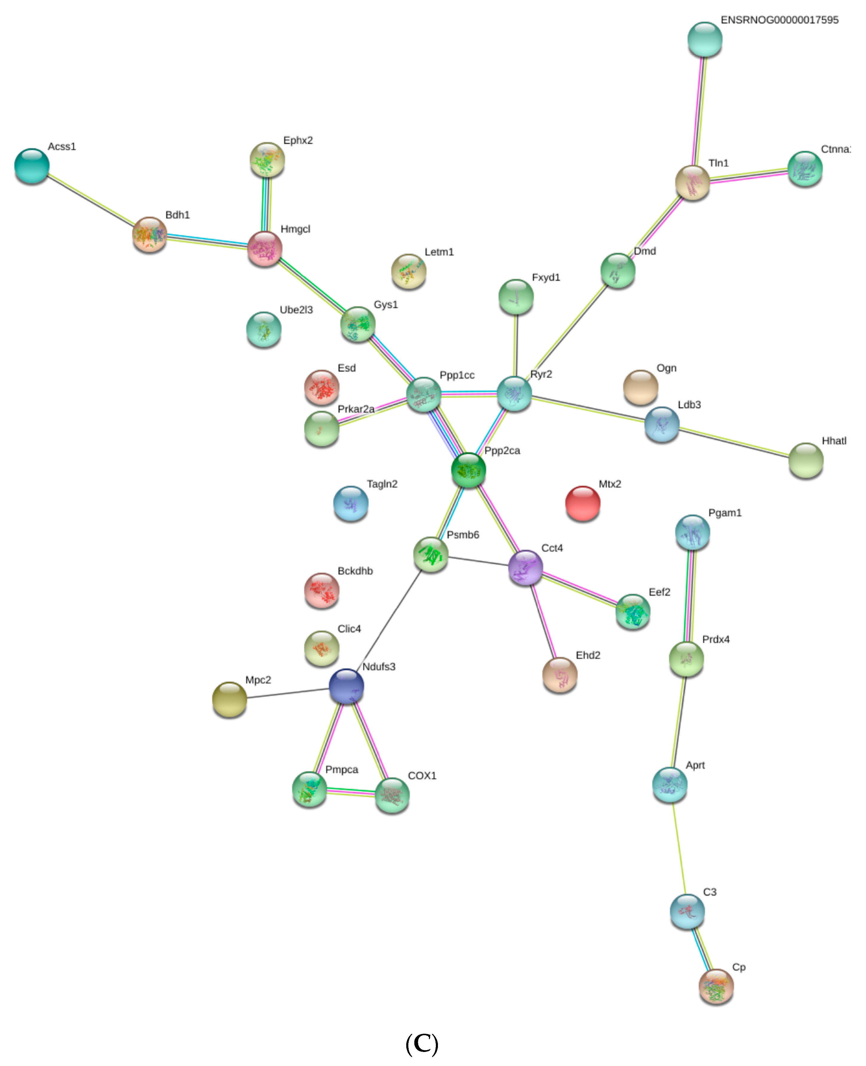 Nutrients 15 05021 g003b Nutrients 15 05021 g003b