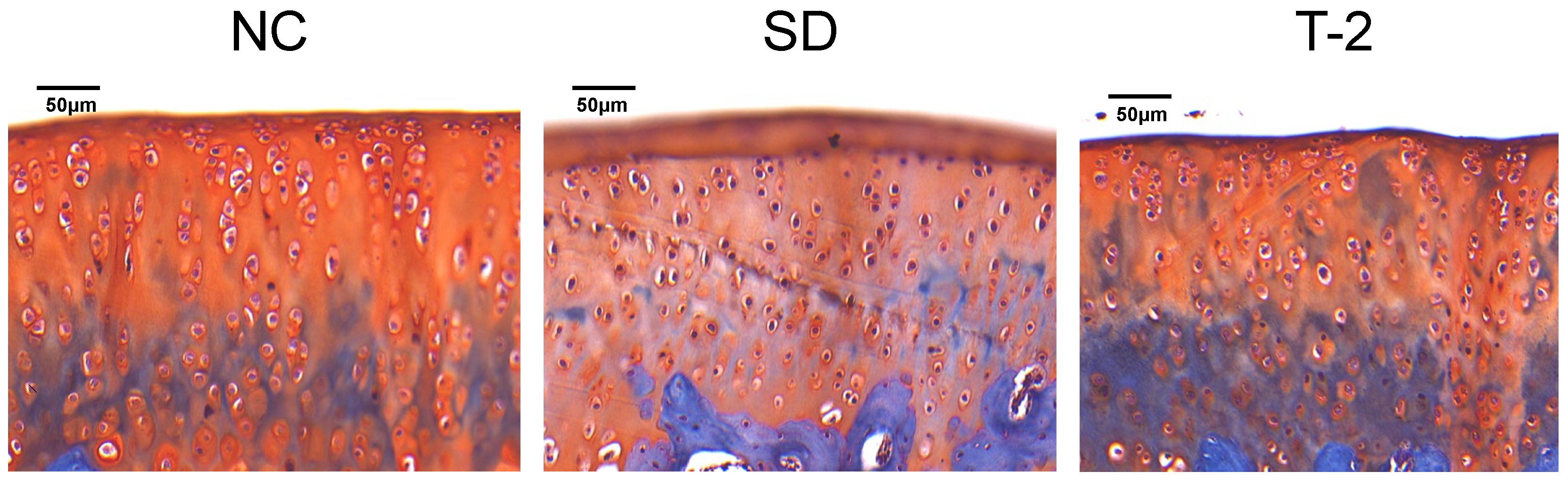 Nutrients 15 05027 g001
