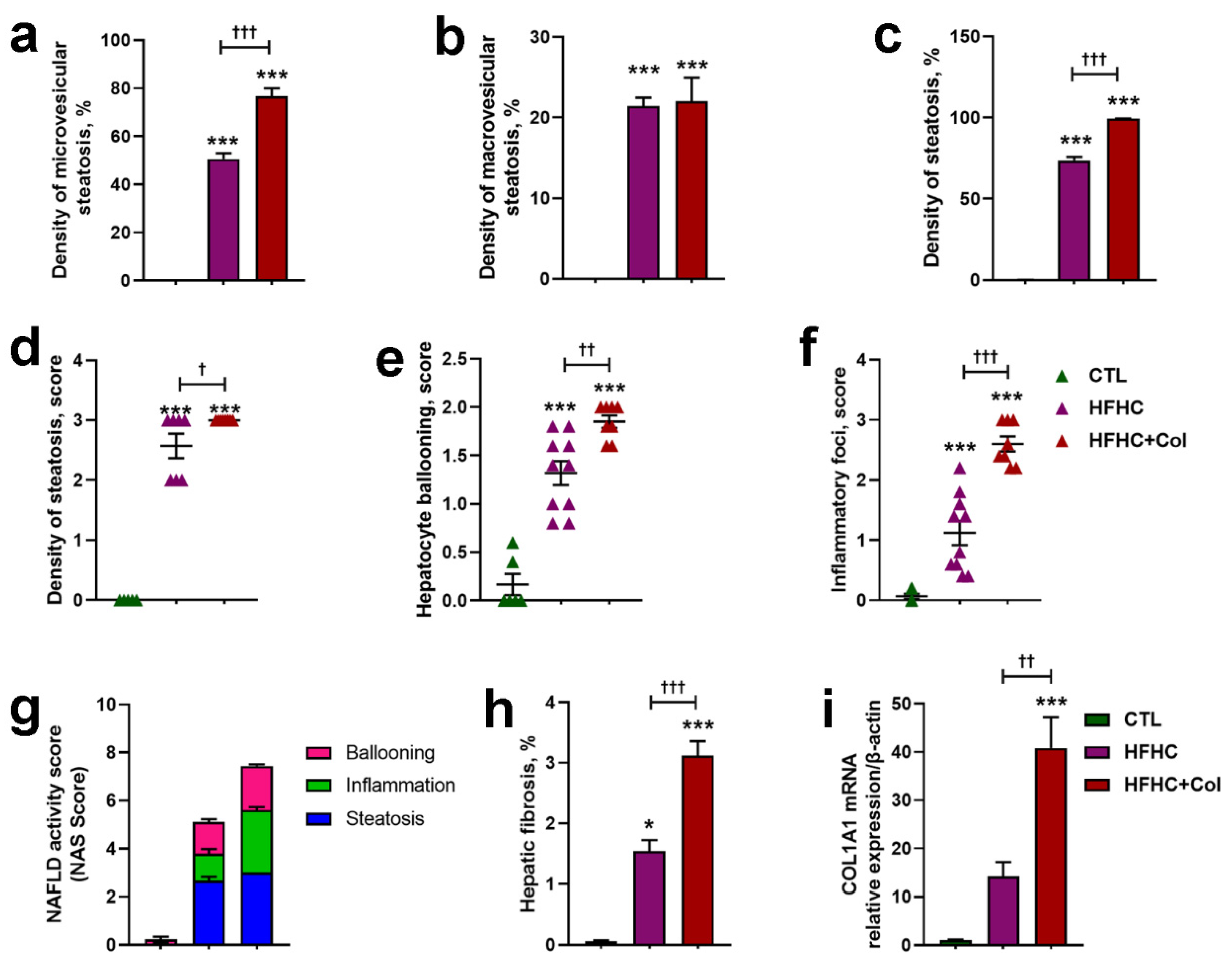 Nutrients 15 05034 g003