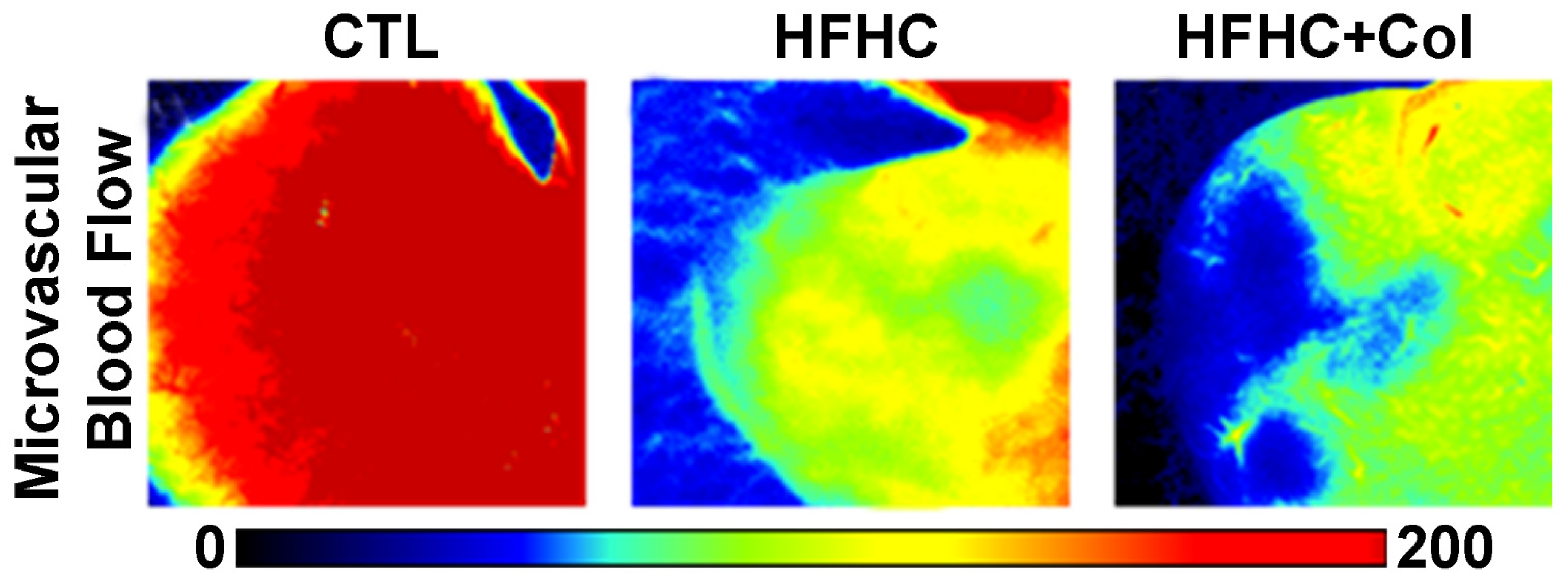 Nutrients 15 05034 g006