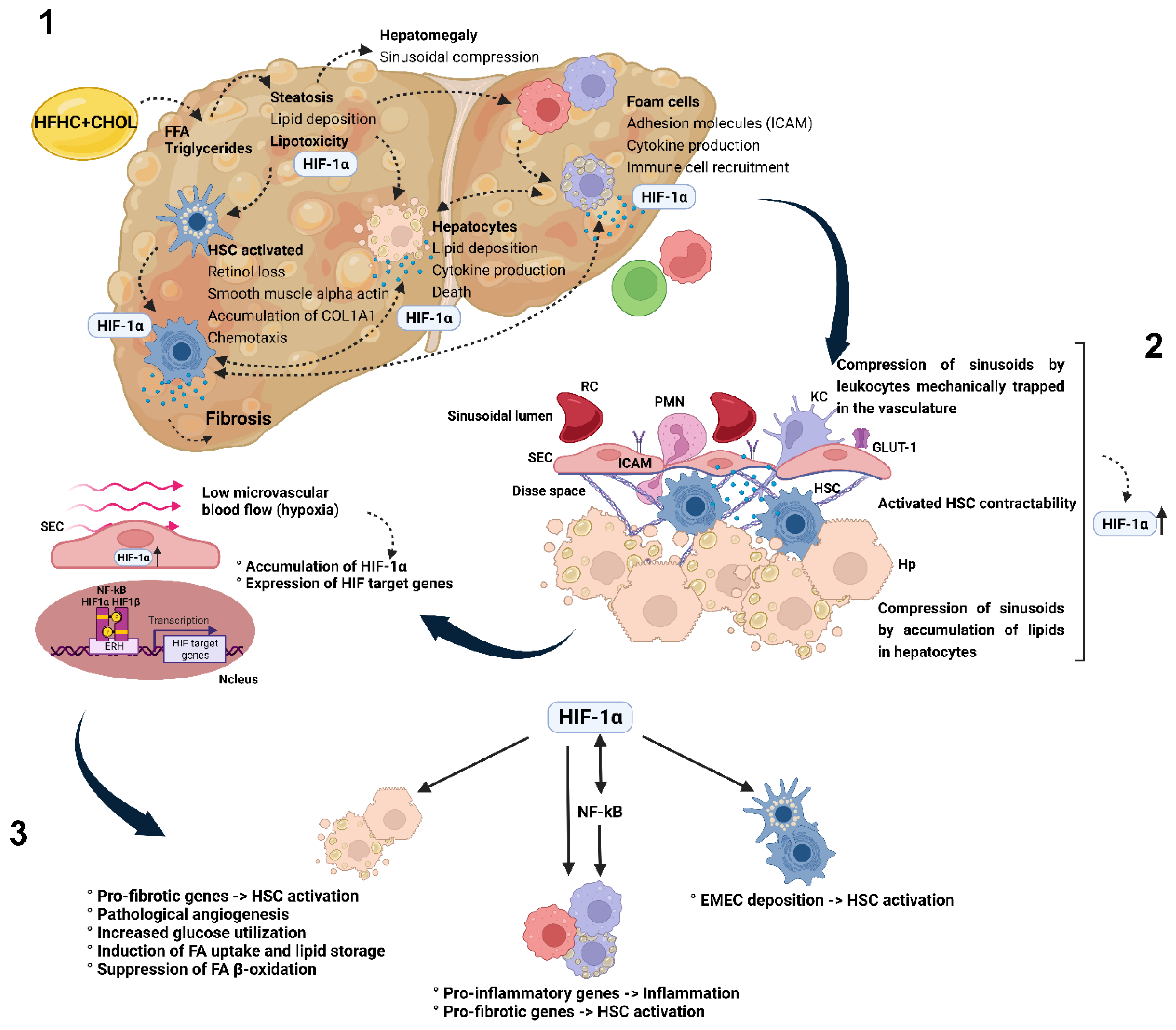 Nutrients 15 05034 g009