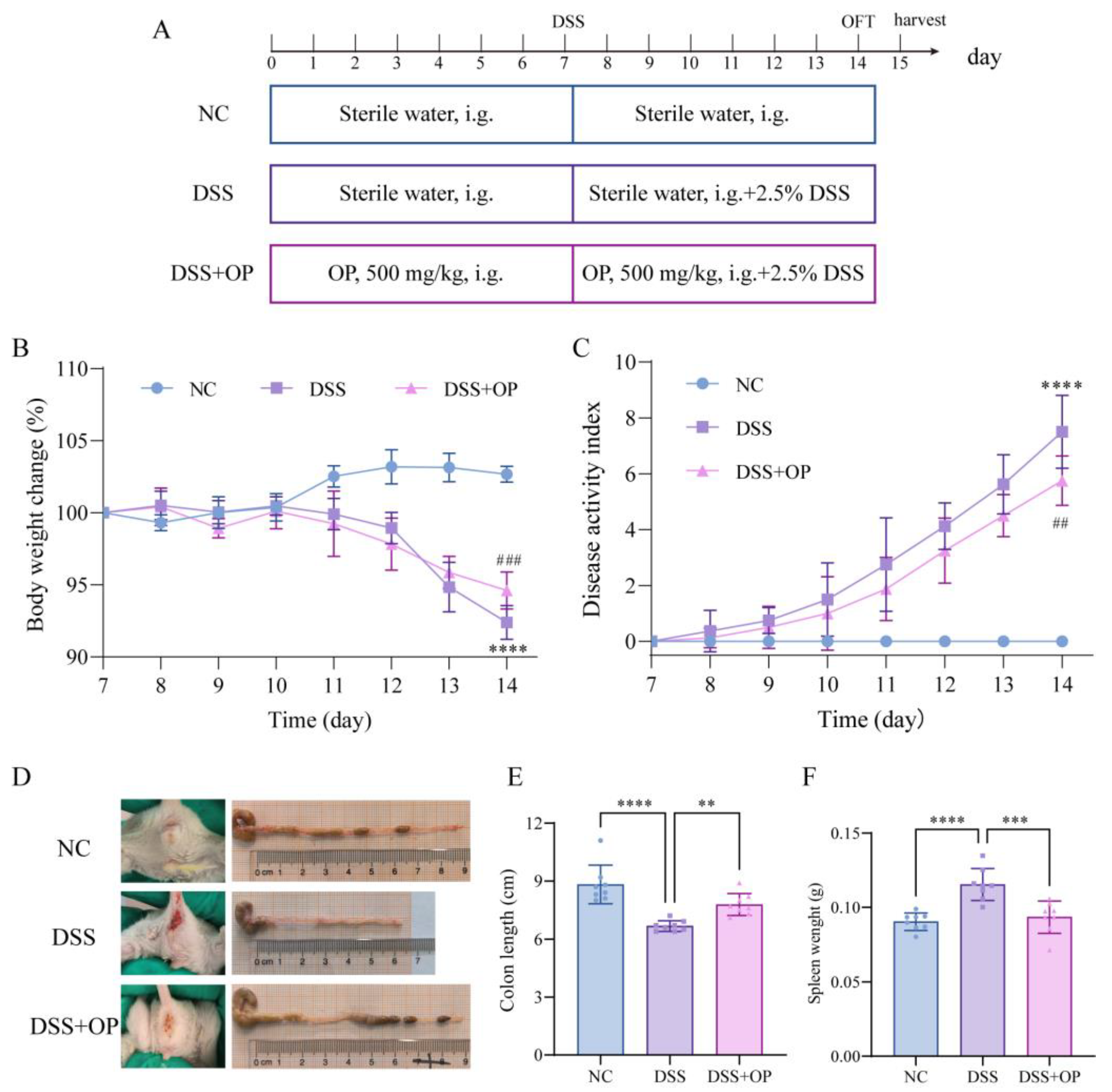 Nutrients 15 05055 g001