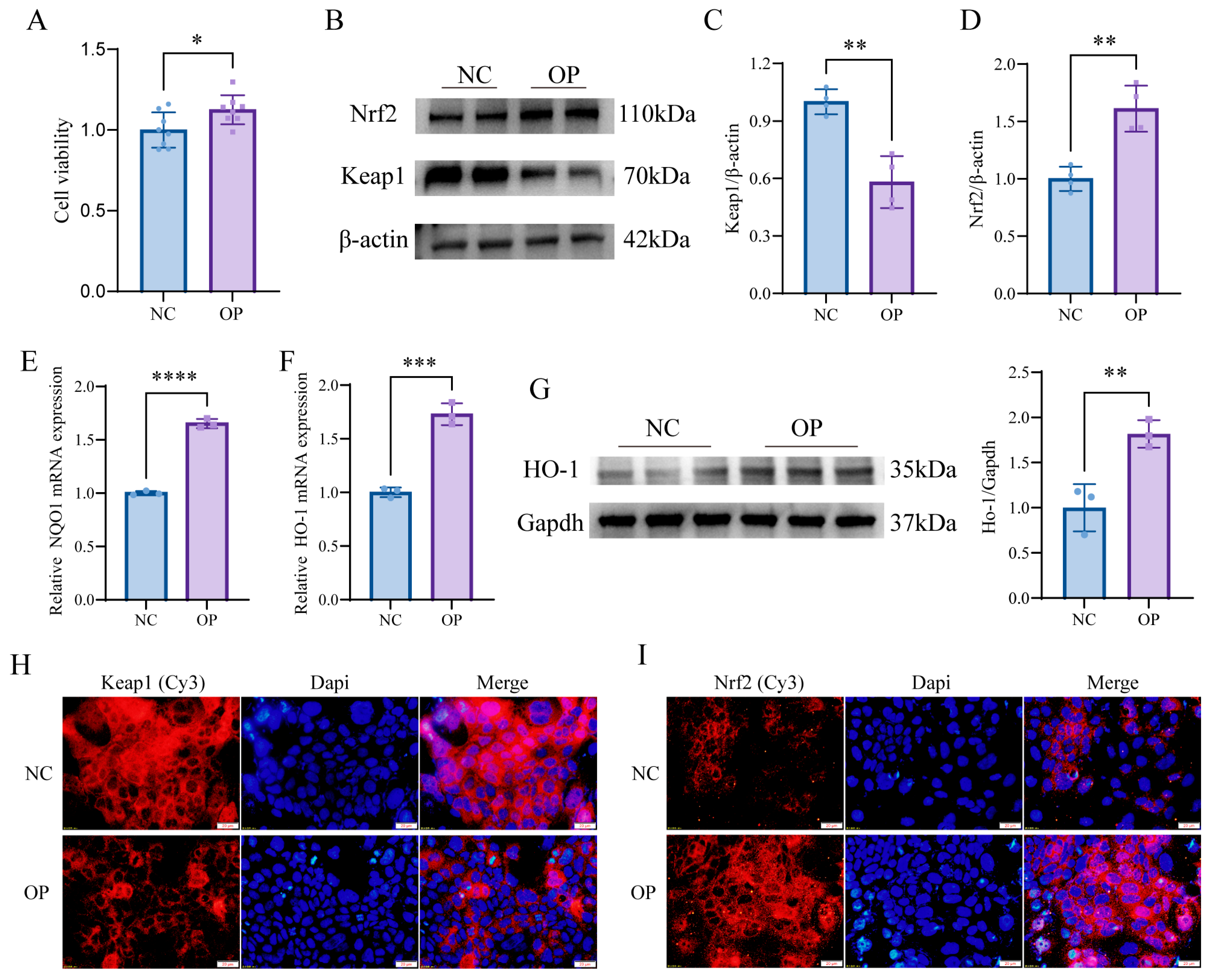 Nutrients 15 05055 g009