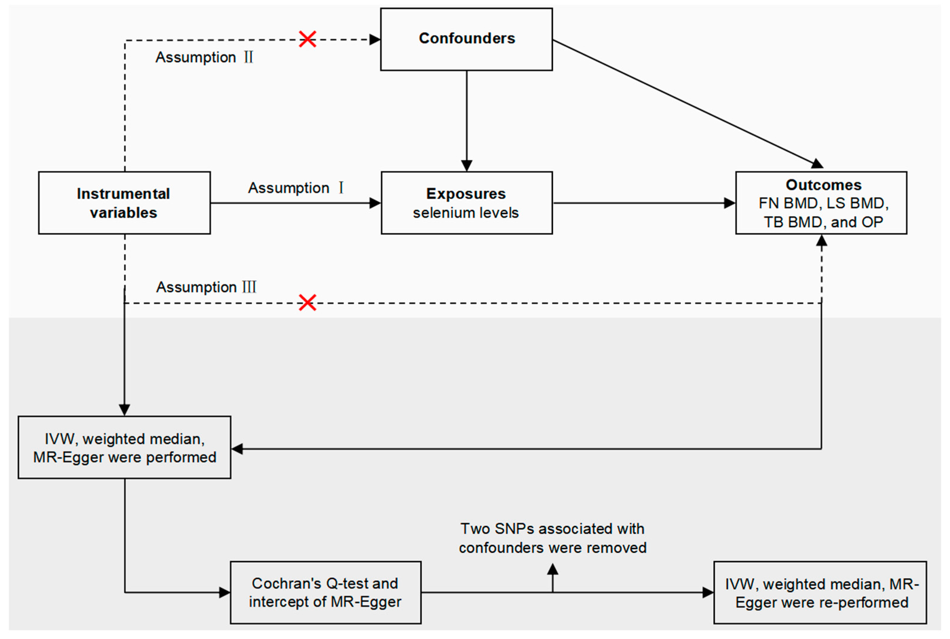 Nutrients 15 05065 g001