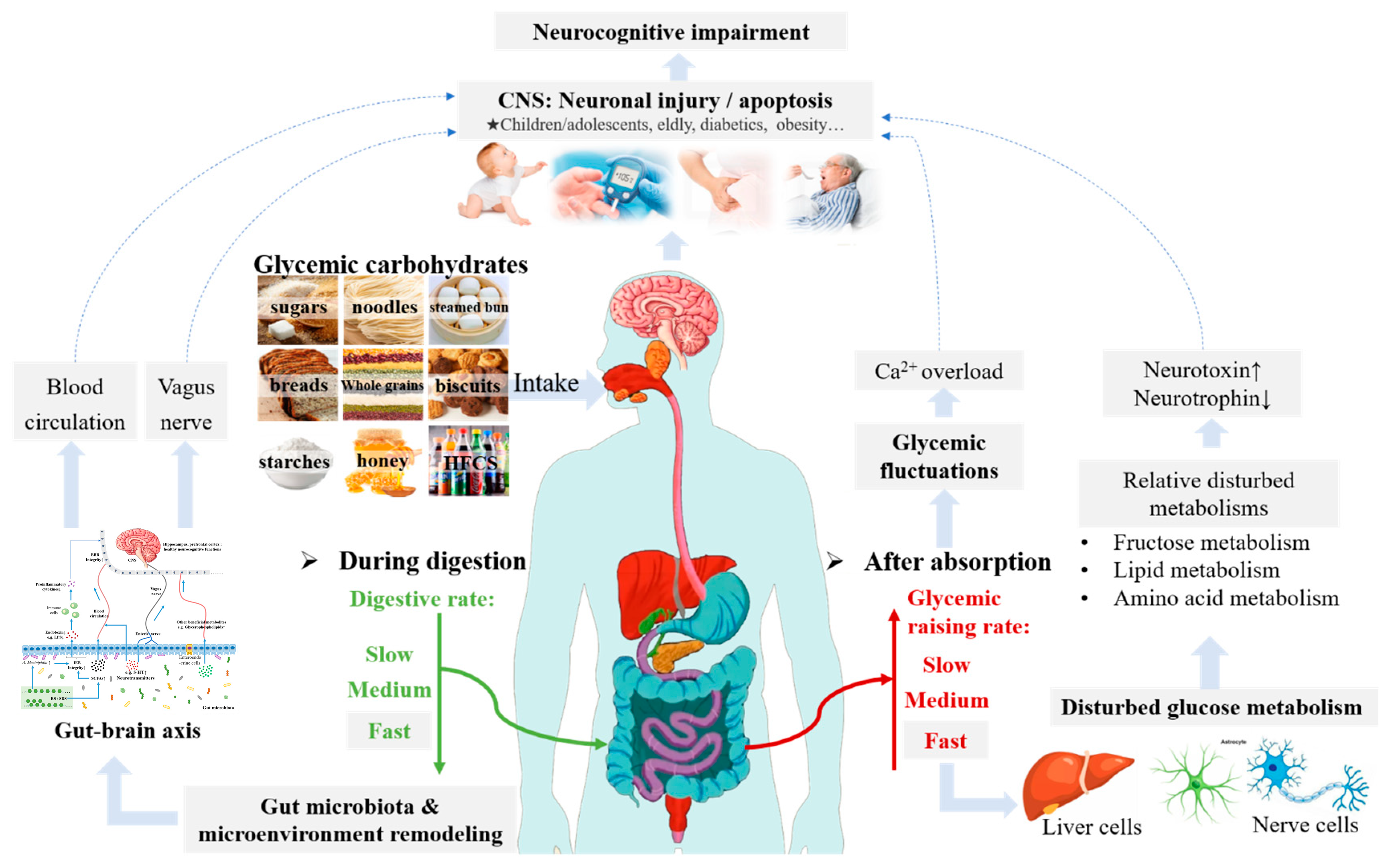 Nutrients 15 05080 g005