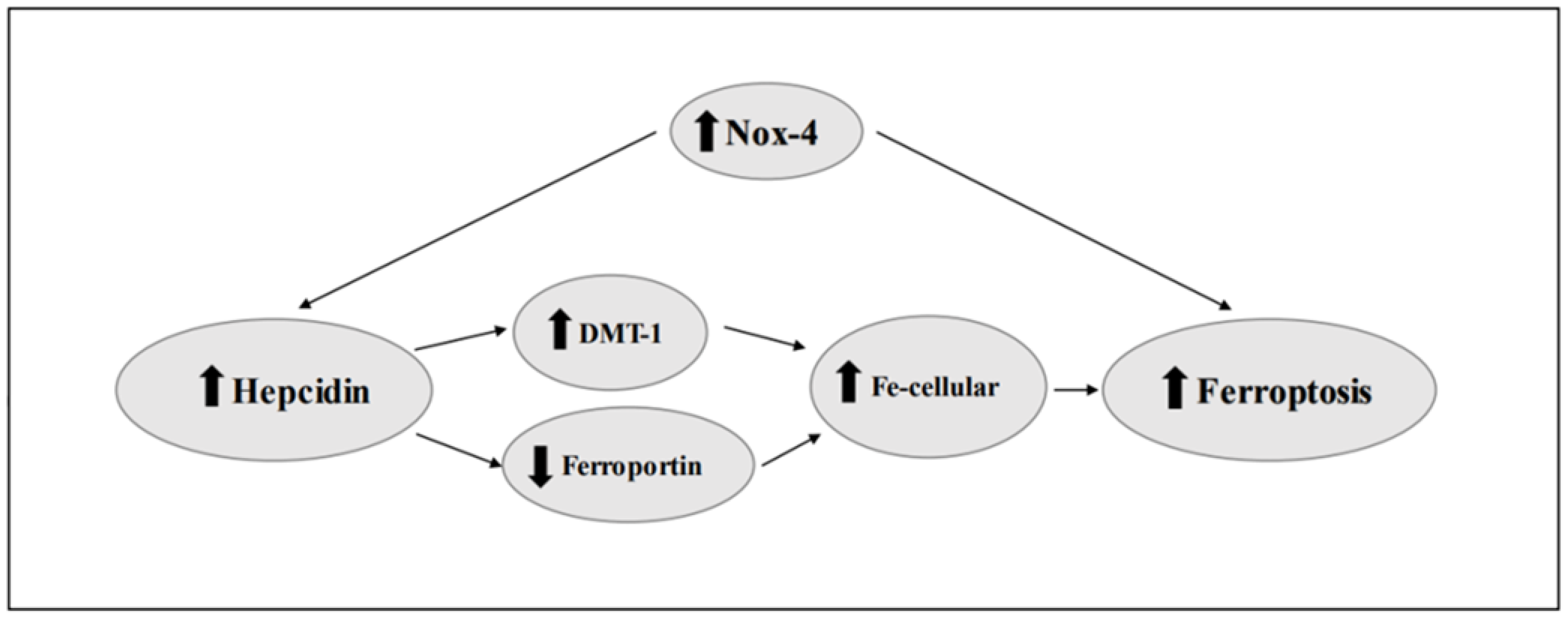 Nutrients 15 05081 g002