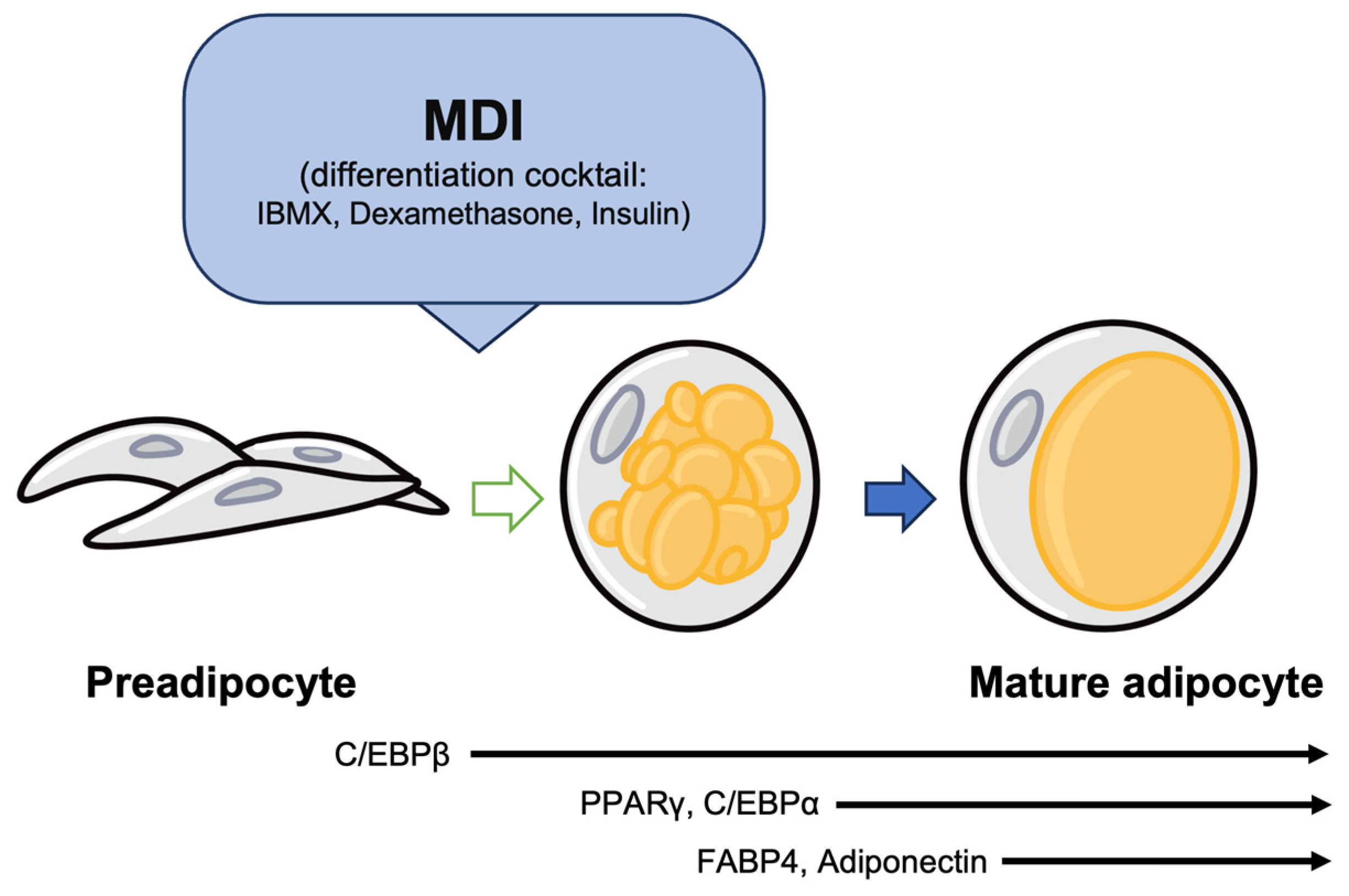 Nutrients 15 05082 g001 Nutrients 15 05082 g001
